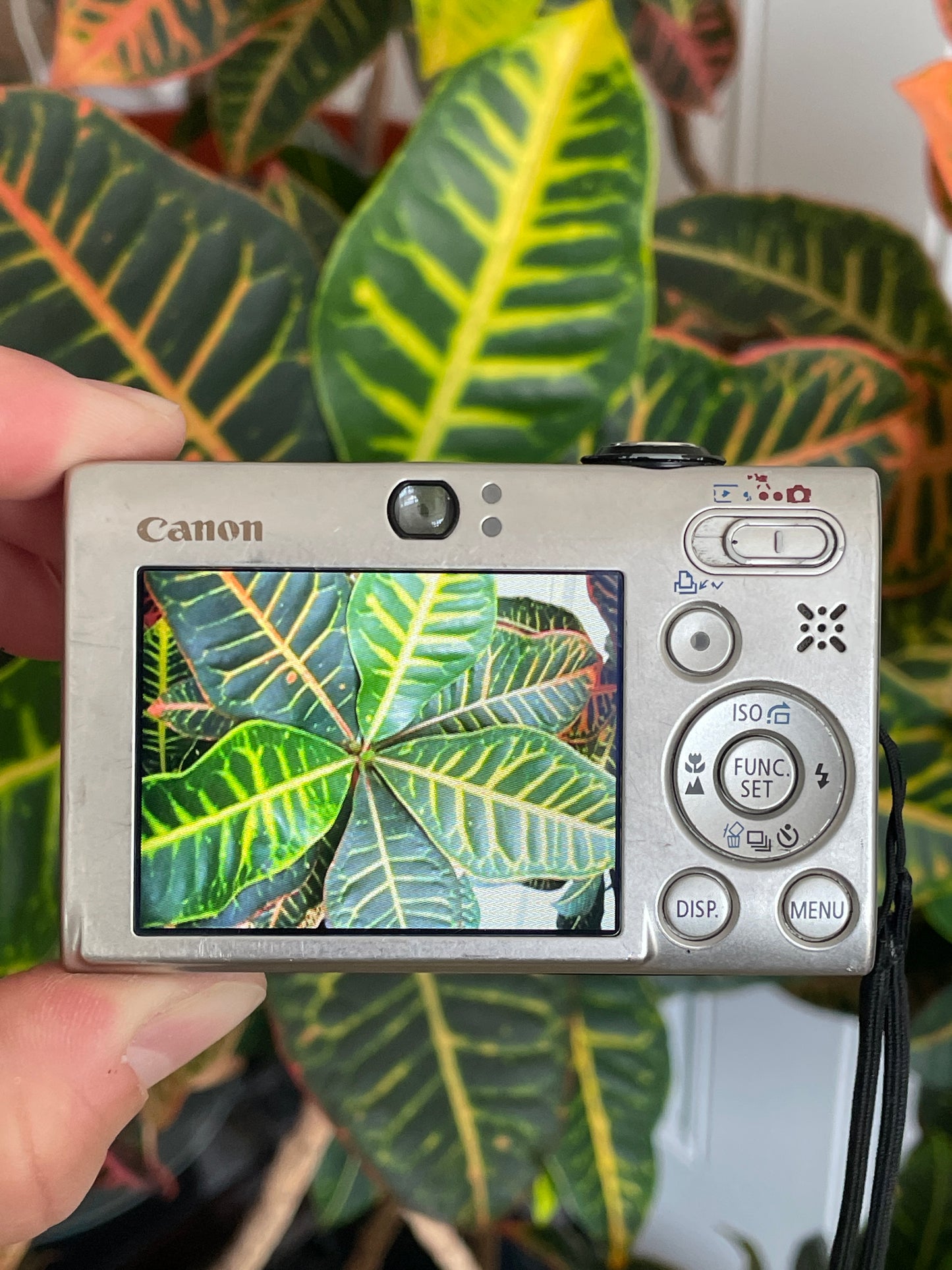 Canon PowerShot SD770 10.0 MP IS ELPH Digital Camera Bundle