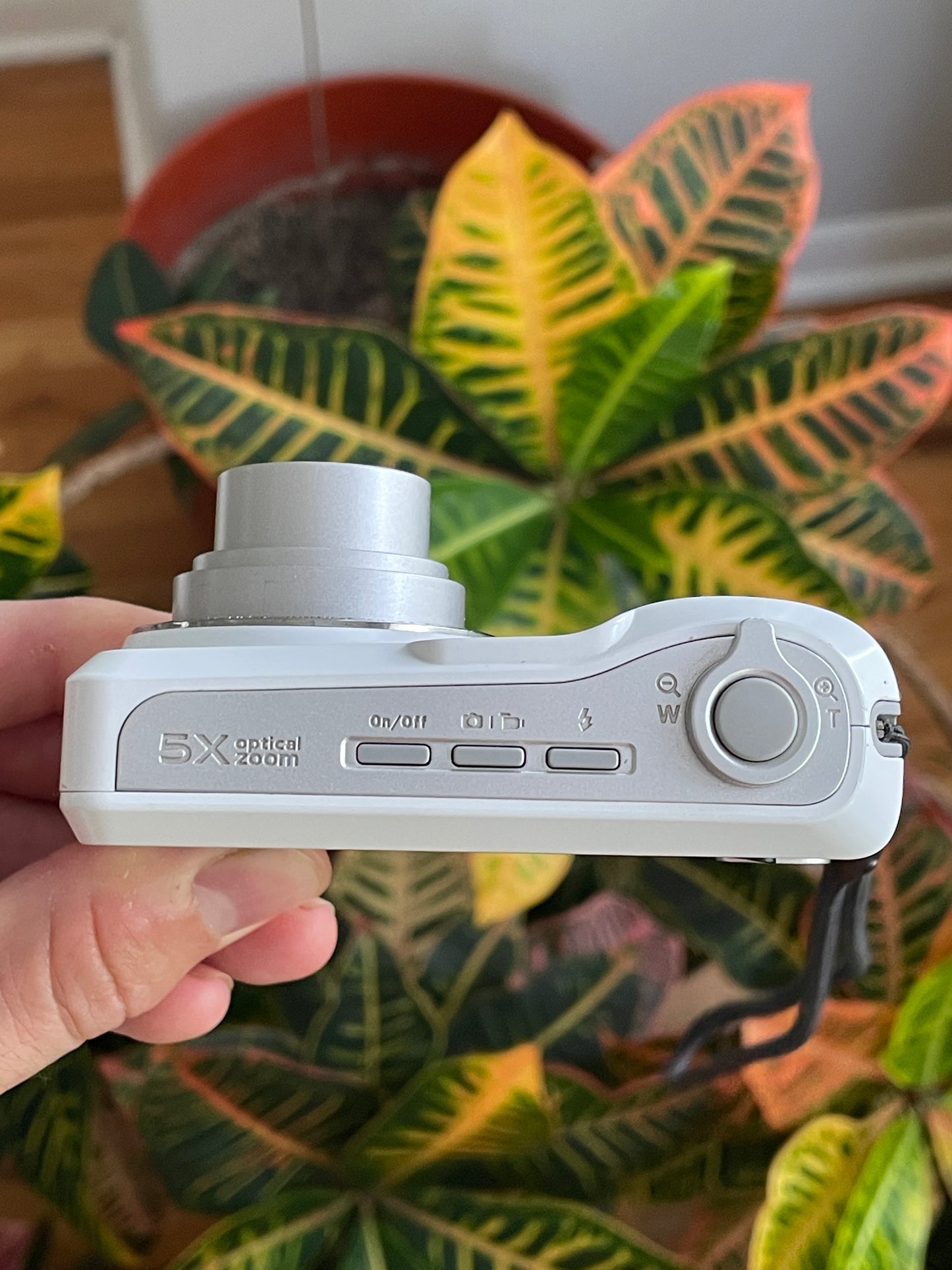 Kodak EasyShare C1450 14 MP Digital Camera Bundle - White