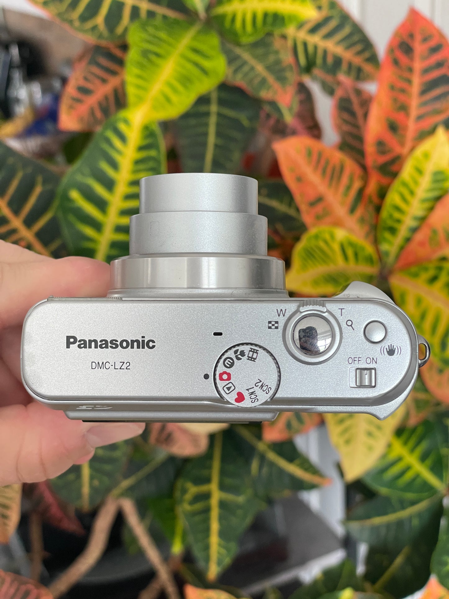 Panasonic Lumix DMC-LZ2 5.0 MP Digital Camera Bundle
