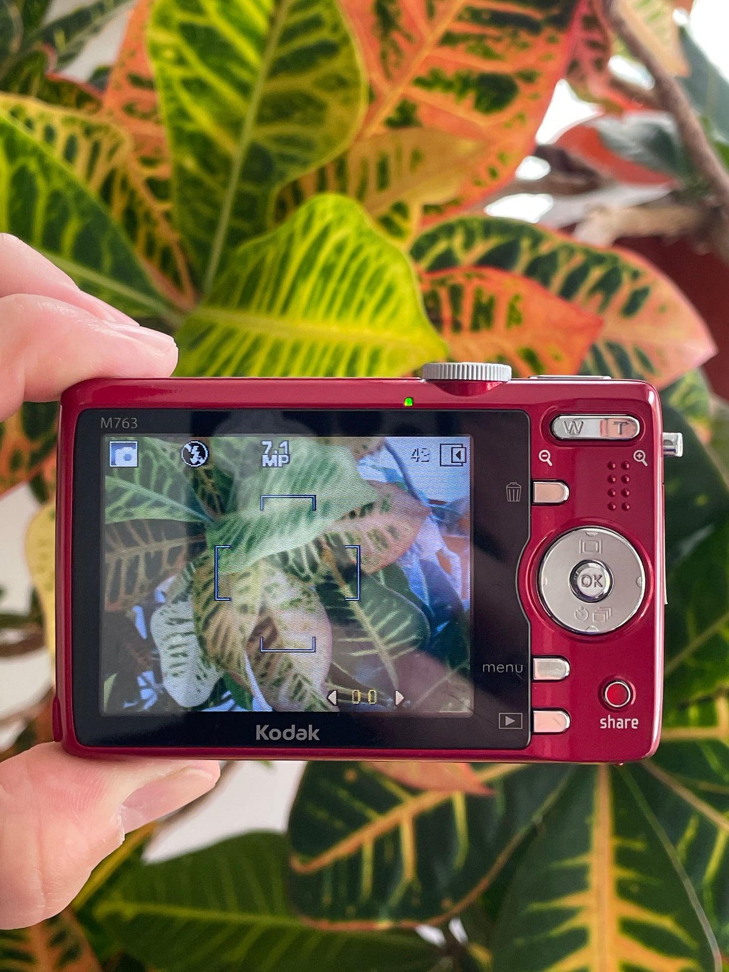 Kodak EasyShare M763 7.2 MP Digital Camera Bundle - Red