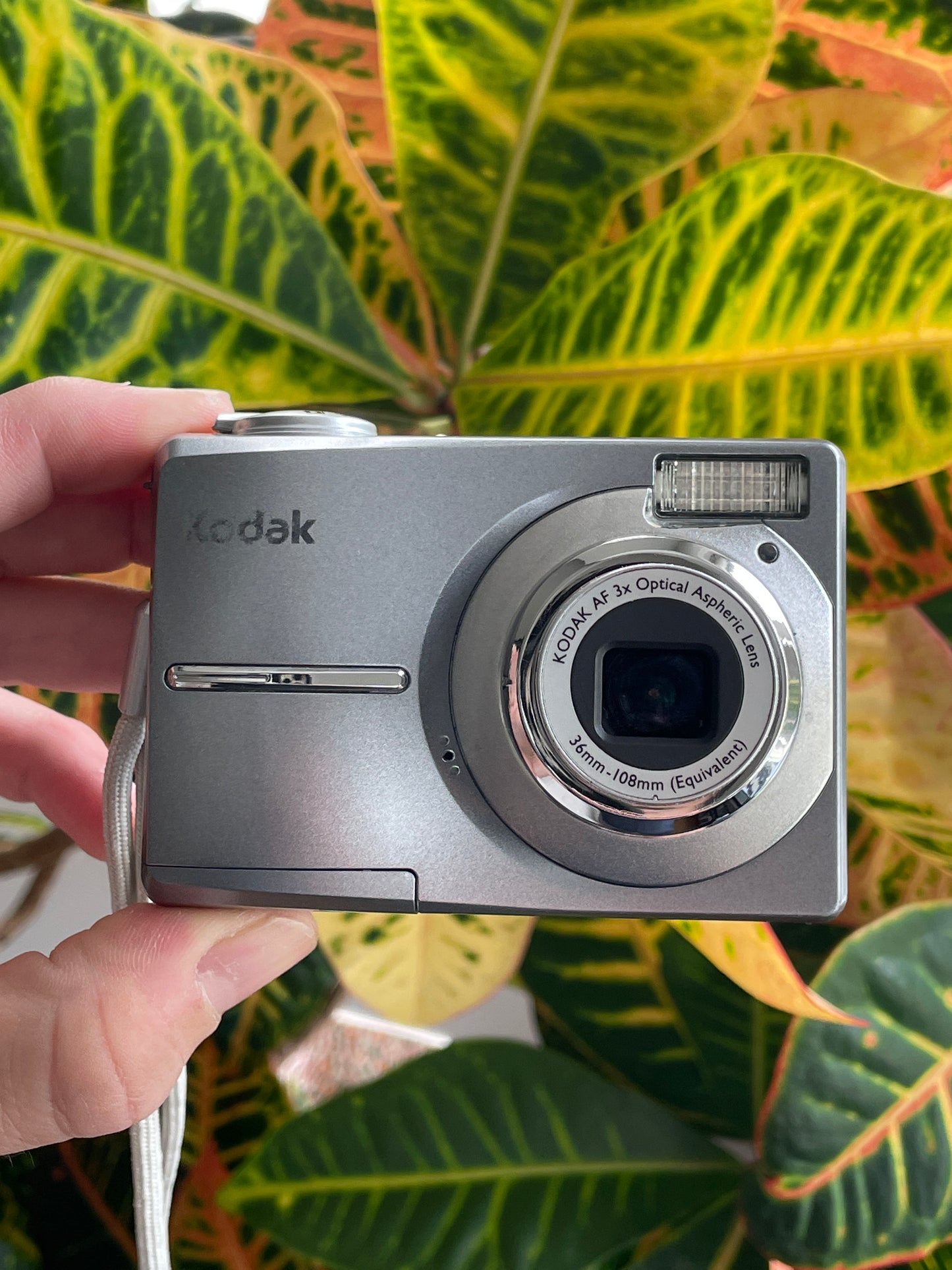 Kodak EasyShare C813 8.2 MP Digital Camera Bundle - Grey