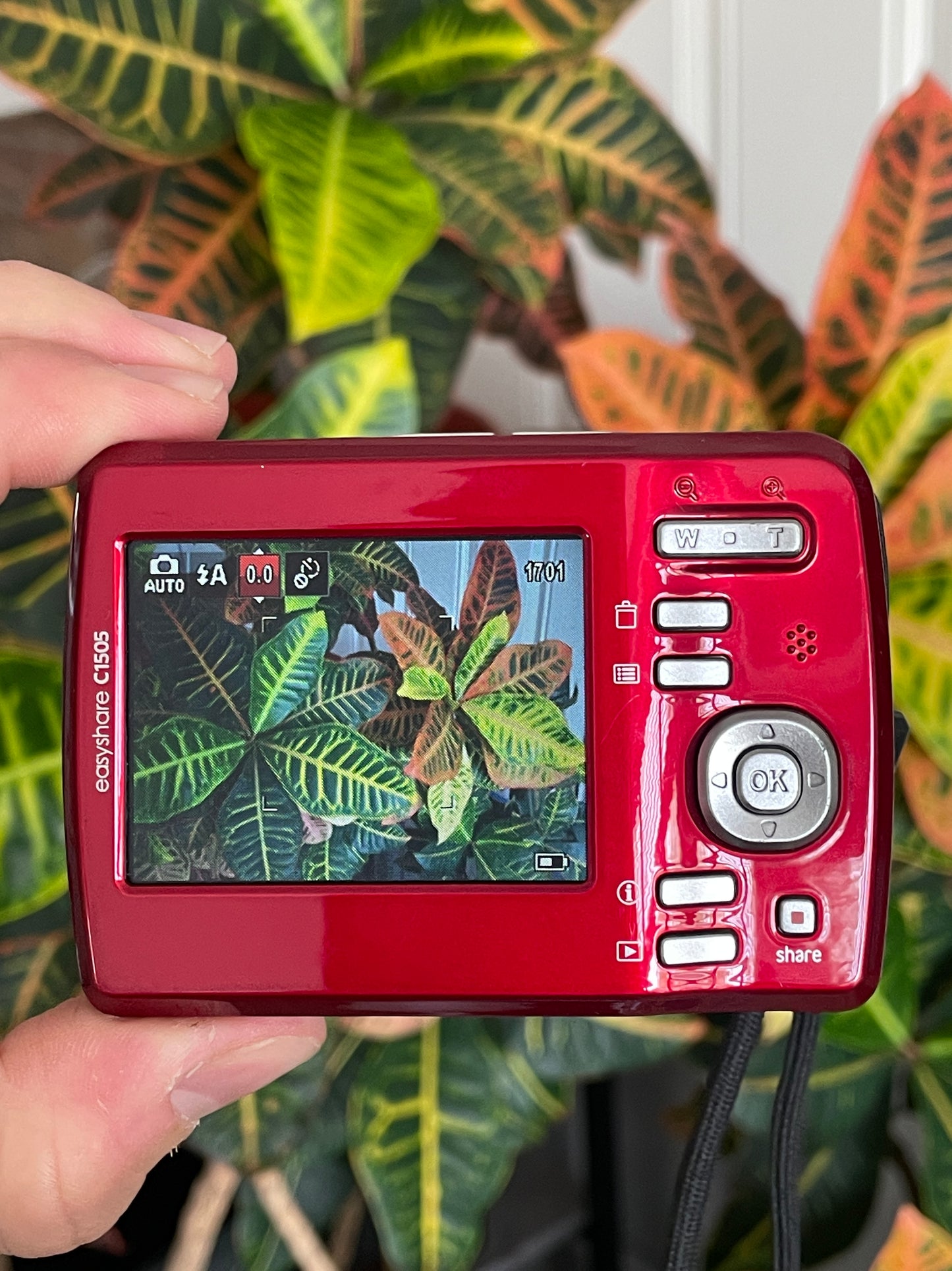 Kodak EasyShare C1505 12 MP Digital Camera - Red