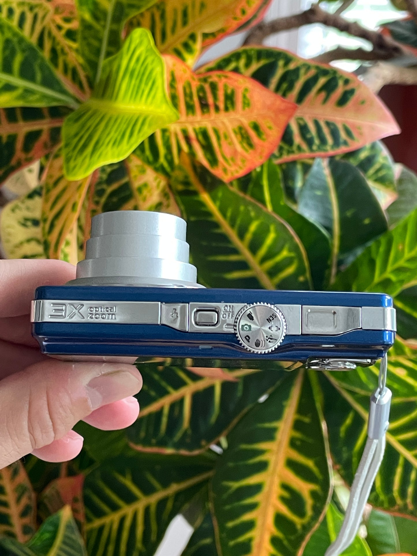 Kodak EasyShare M340 10.2 MP Digital Camera Bundle - Blue
