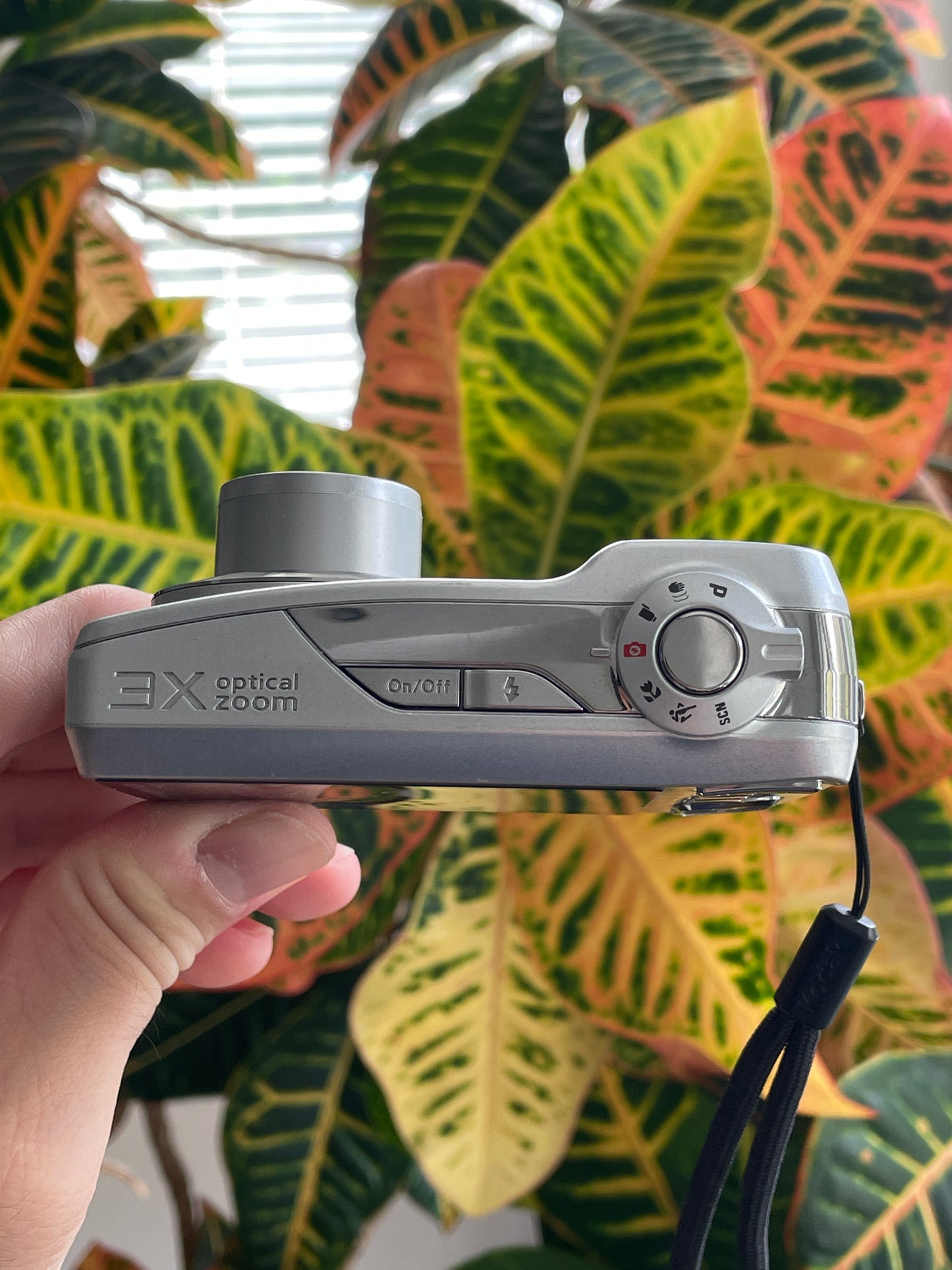 Kodak EasyShare C182 12 MP Digital Camera Bundle - Silver