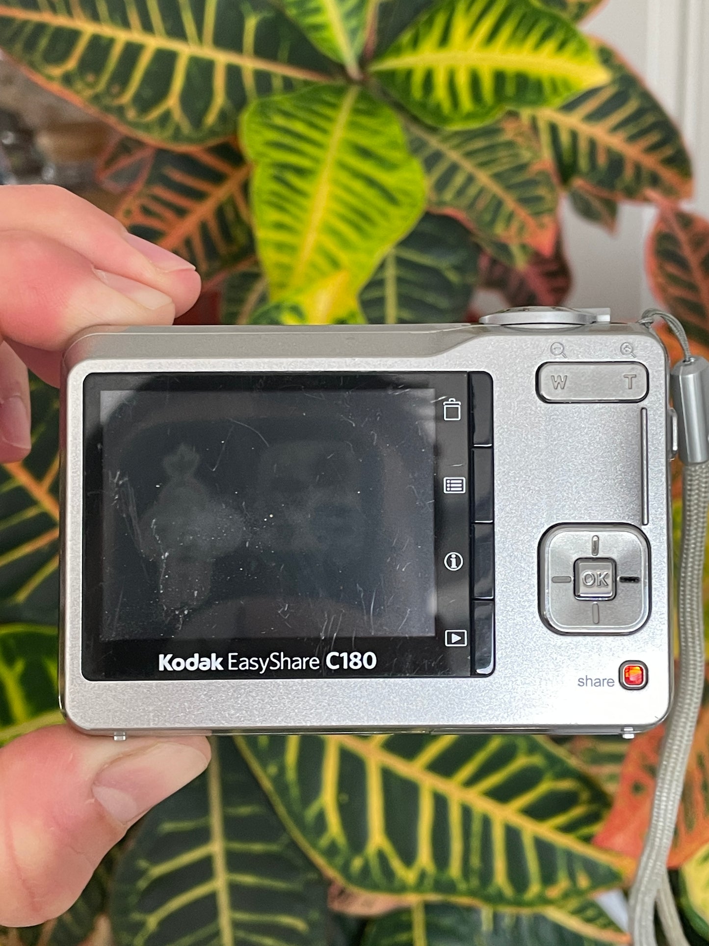 Kodak EasyShare C180 10.2 MP Digital Camera Bundle - Silver
