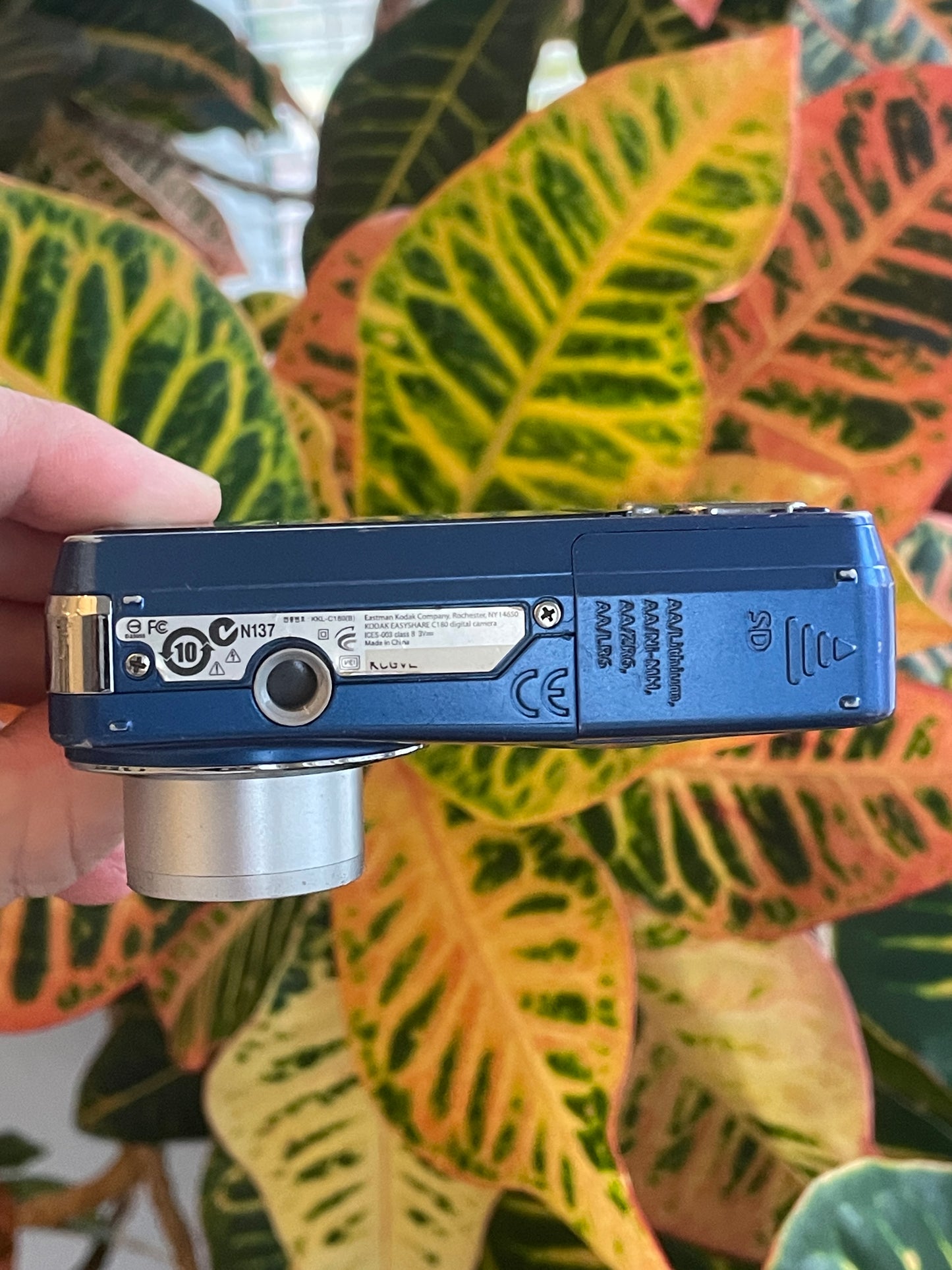 Kodak EasyShare C180 10.2 MP Digital Camera Bundle - Blue