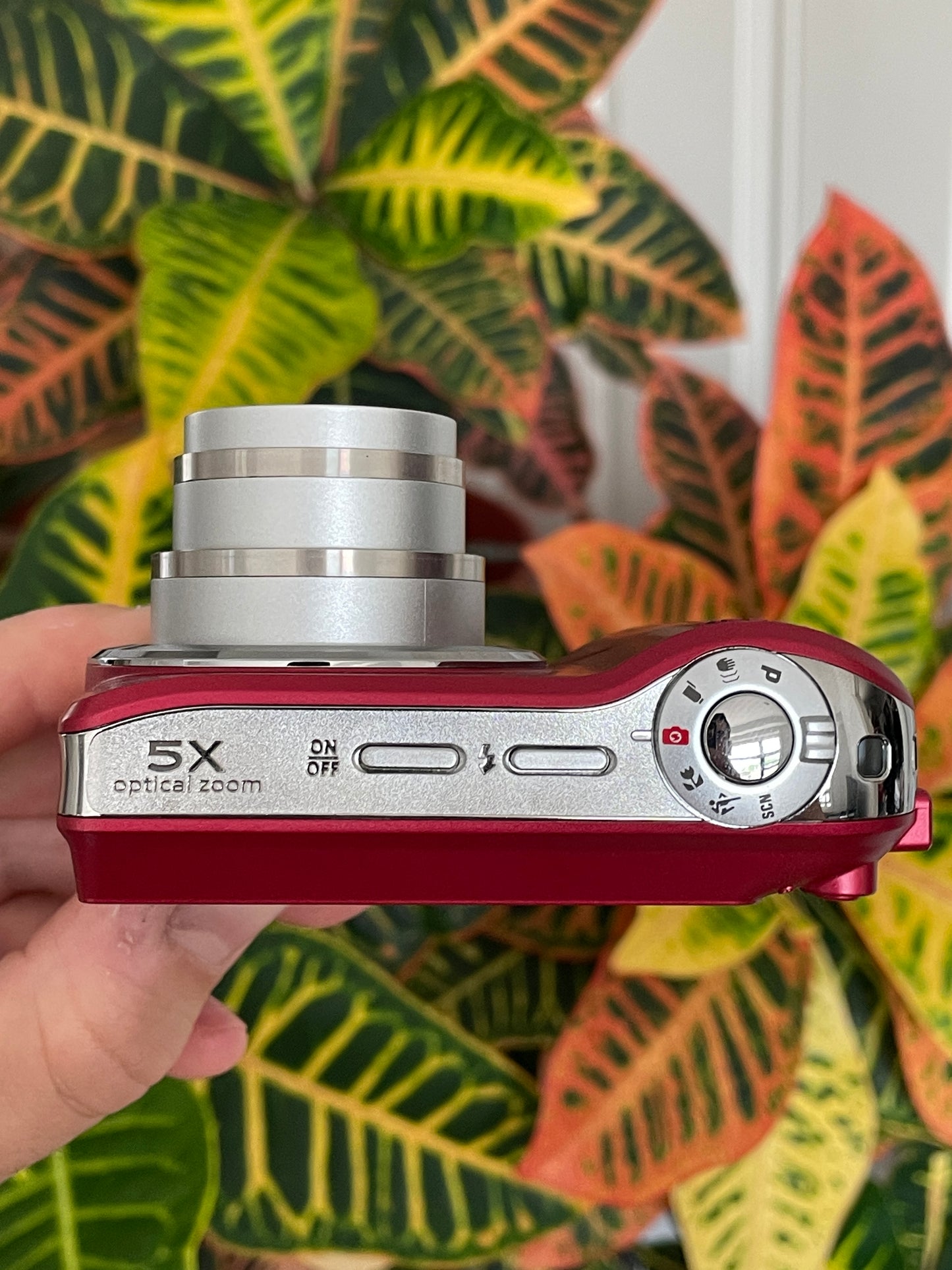 Kodak EasyShare C190 12 MP Digital Camera Bundle - Red