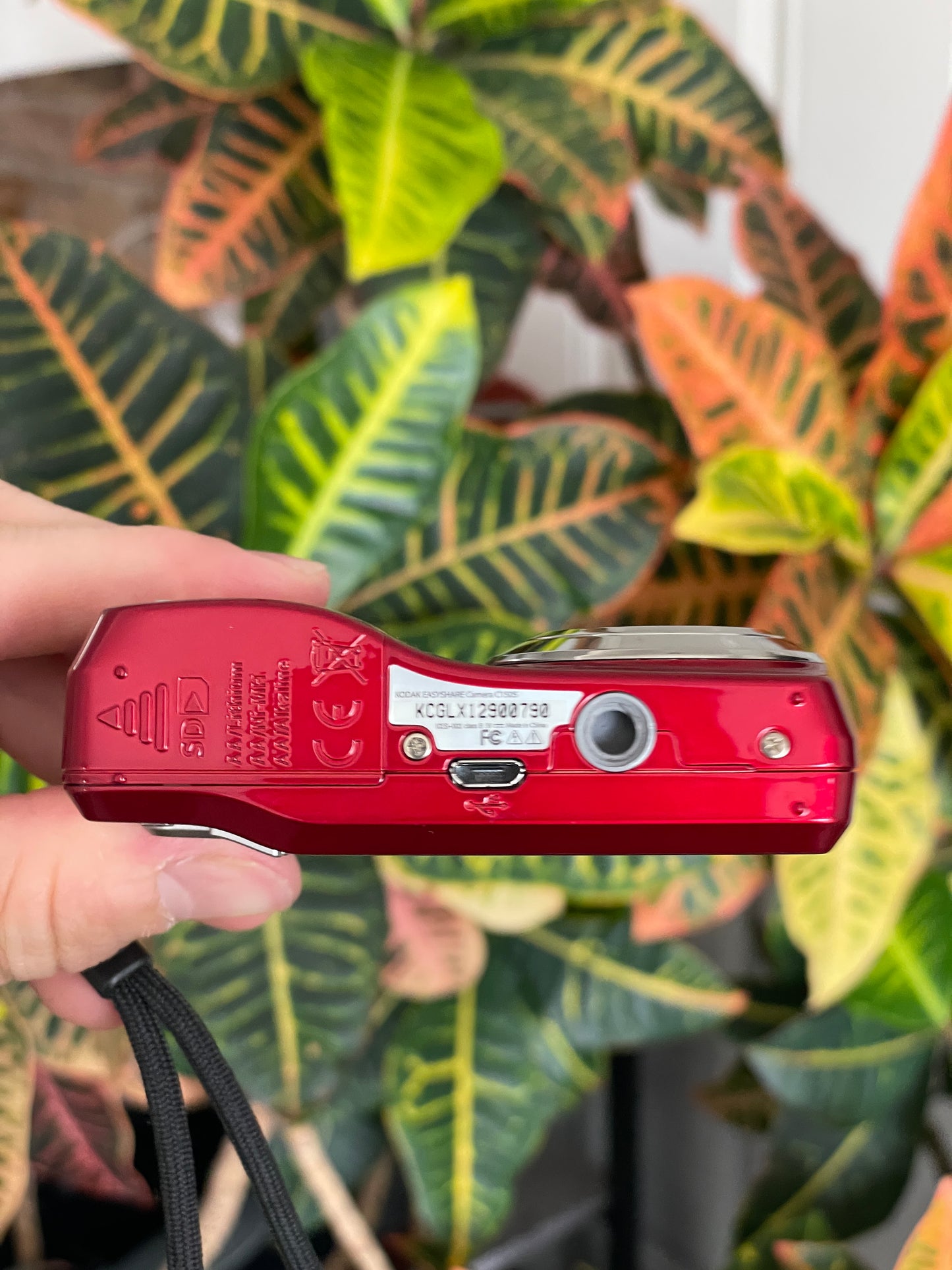 Kodak EasyShare C1505 12 MP Digital Camera - Red