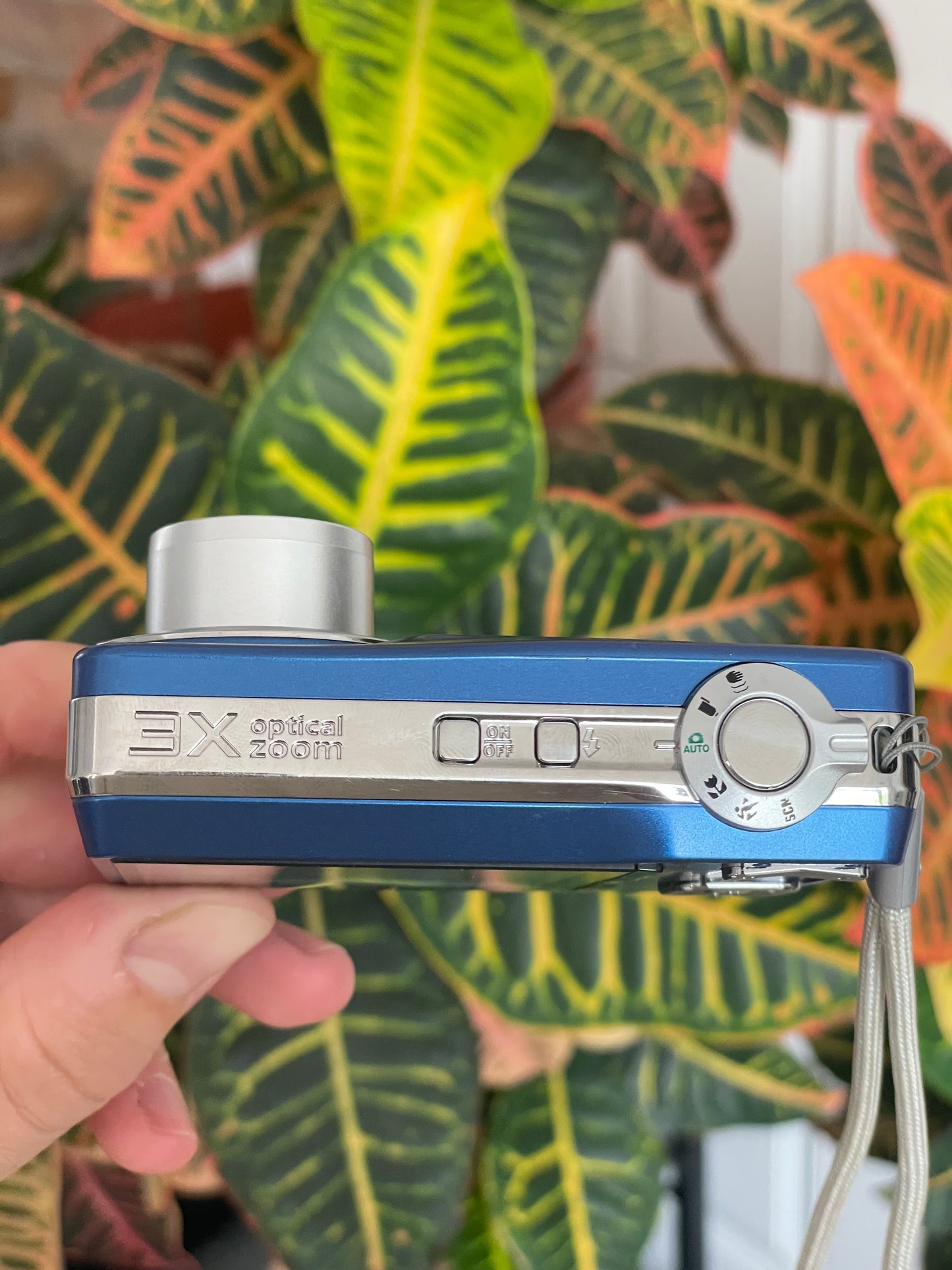 Kodak EasyShare C180 10.2 MP Digital Camera Bundle - Blue