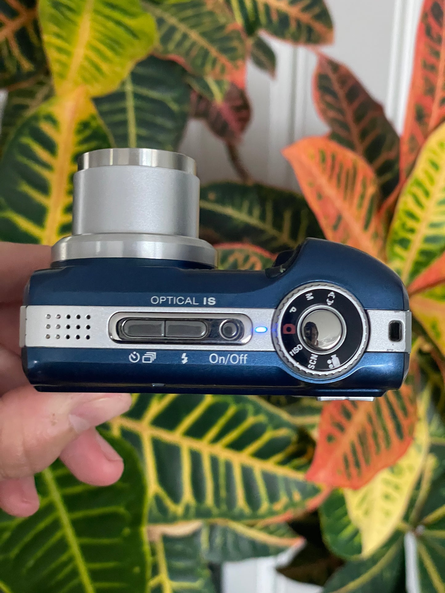 Kodak EasyShare Z1485 IS 14 MP Digital Camera Bundle - Blue