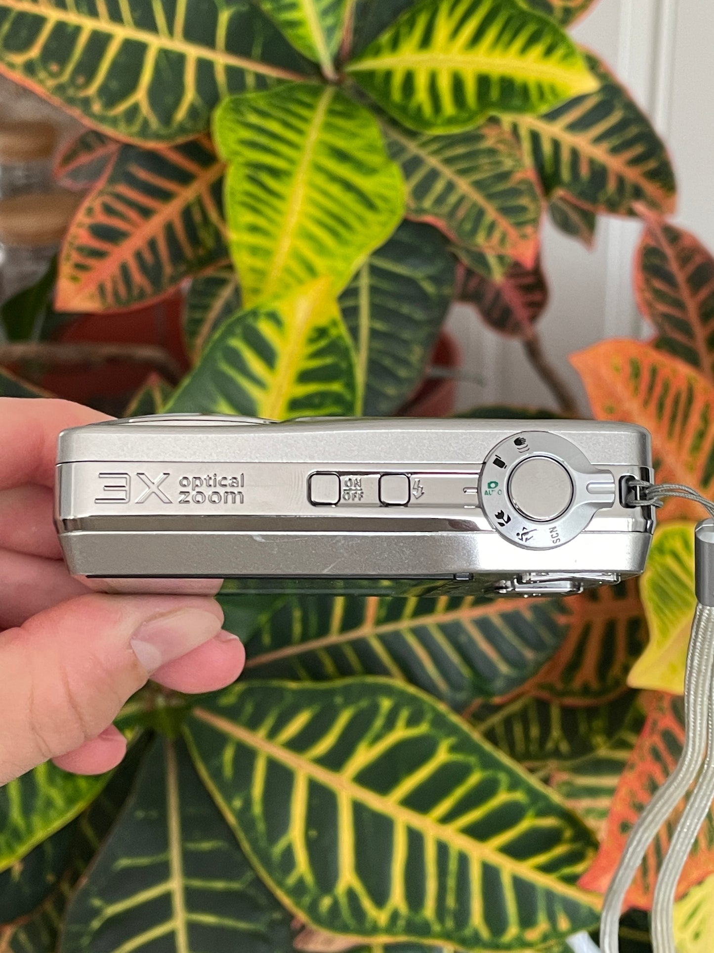 Kodak EasyShare C180 10.2 MP Digital Camera Bundle - Silver