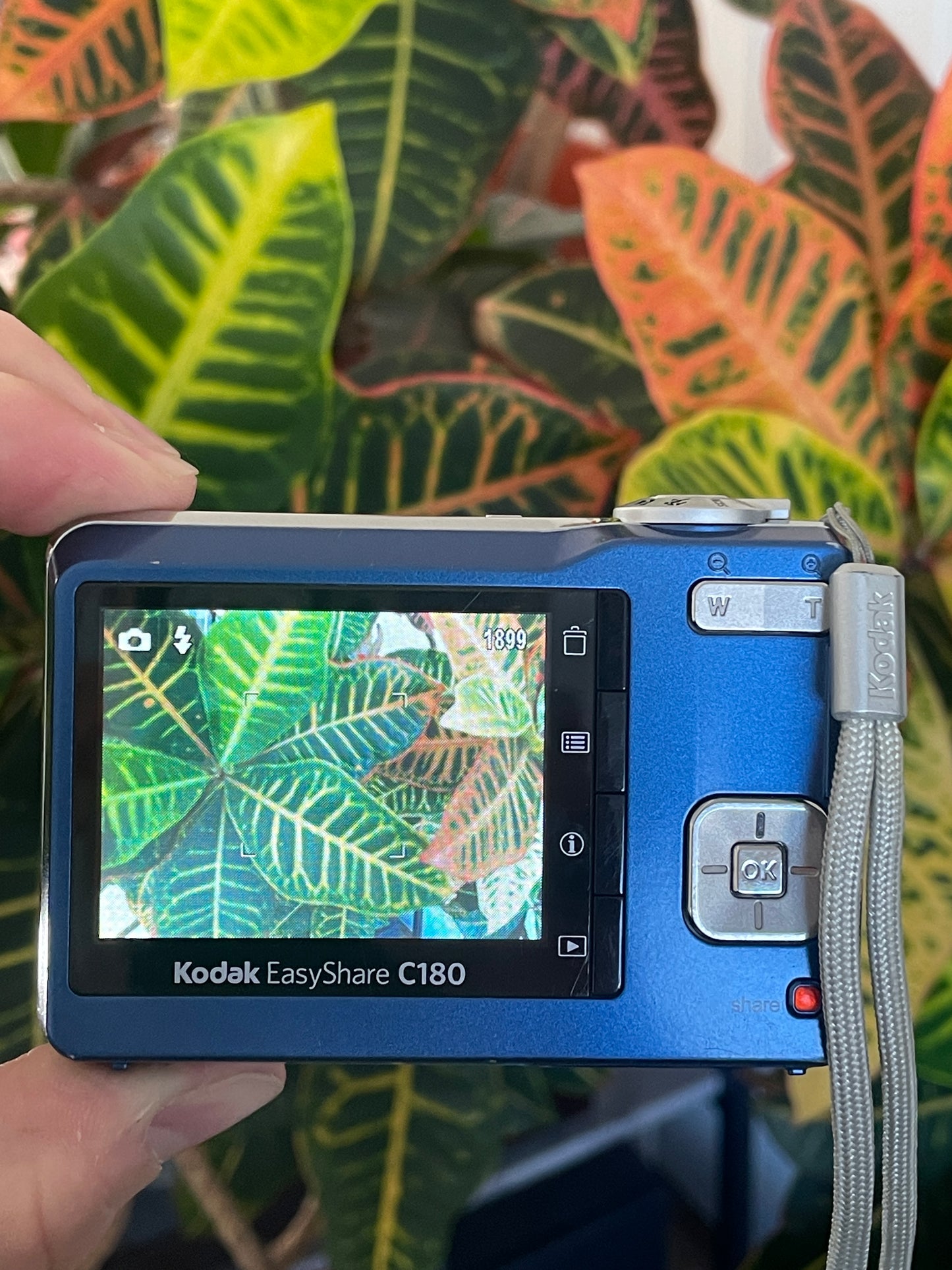 Kodak EasyShare C180 10.2 MP Digital Camera Bundle - Blue