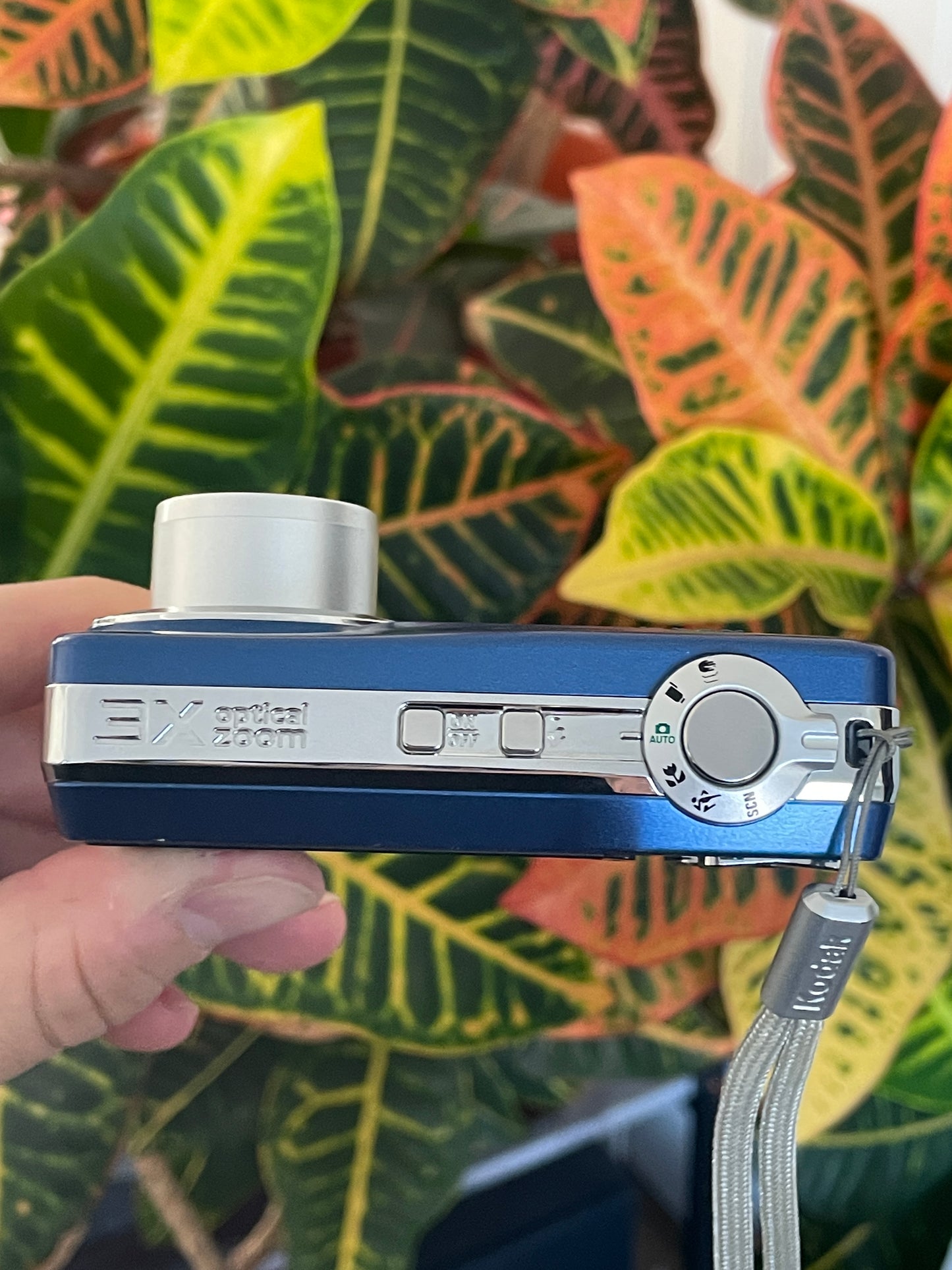 Kodak EasyShare C180 10.2 MP Digital Camera Bundle - Blue