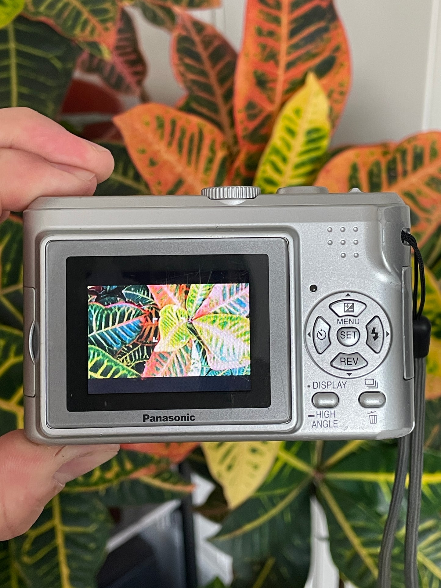 Panasonic Lumix DMC-LZ3 5.0 MP Digital Camera Bundle