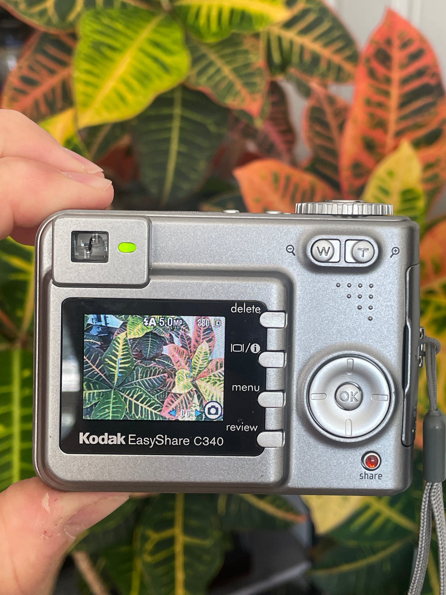 Kodak EasyShare C340 5 MP Digital Camera Bundle