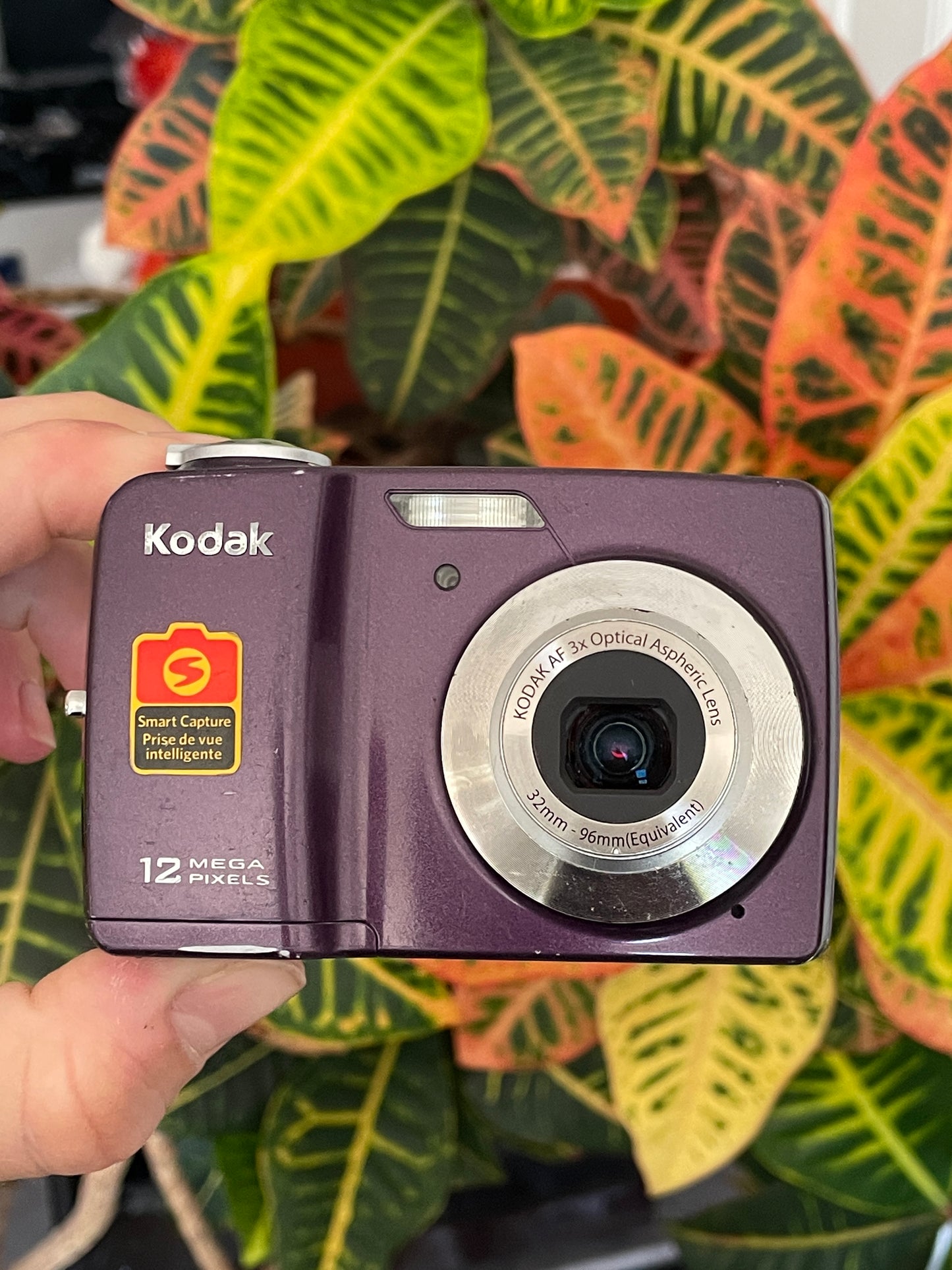 Kodak EasyShare C182 12 MP Digital Camera Bundle - Purple