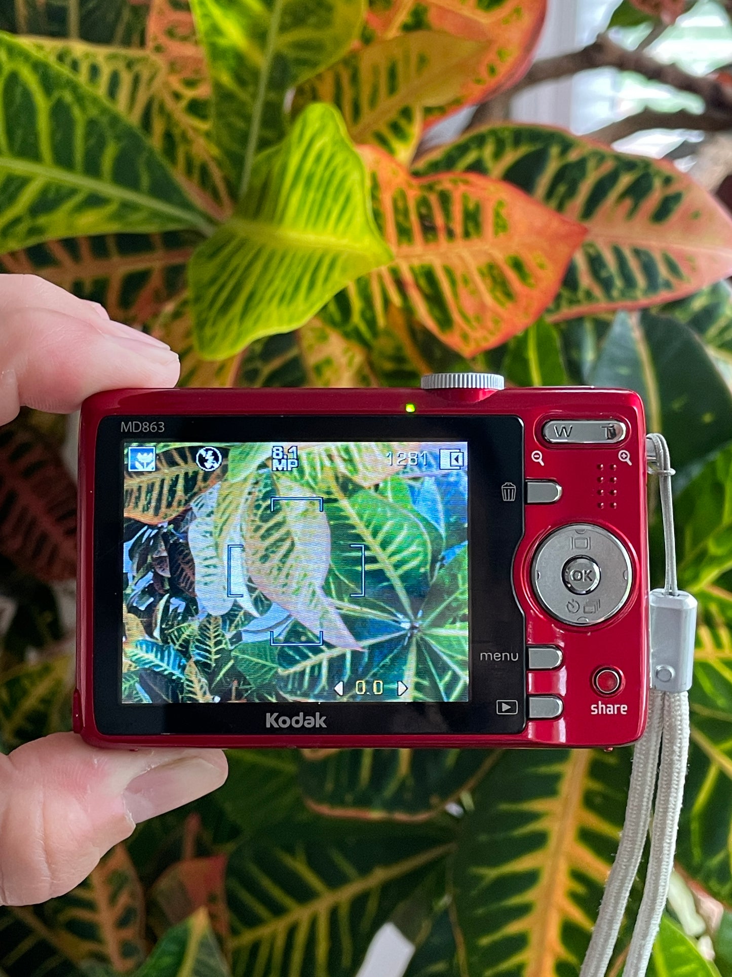 Kodak EasyShare MD863 8.2 MP Digital Camera Bundle - Red