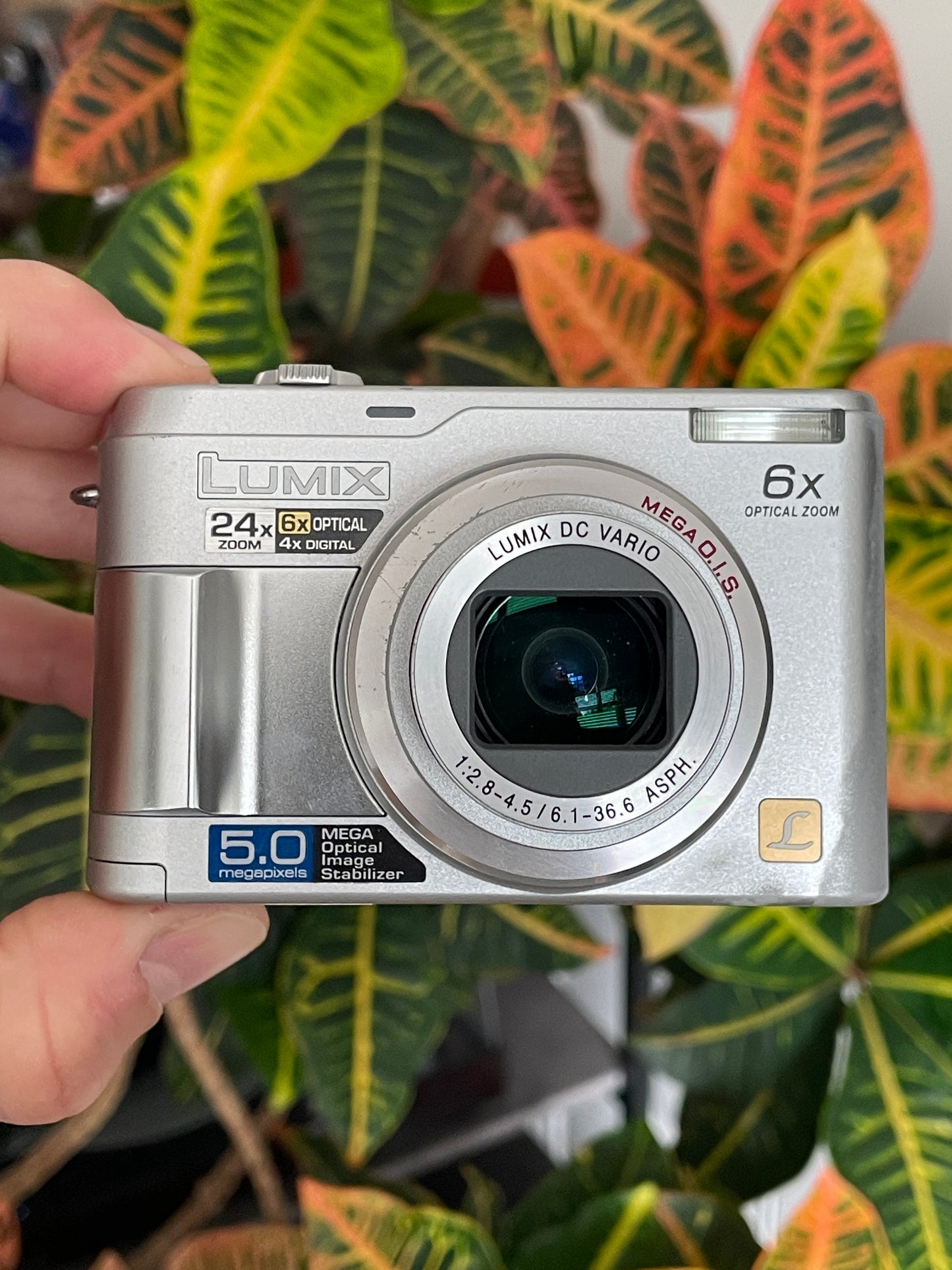 Panasonic Lumix DMC-LZ2 5.0 MP Digital Camera Bundle