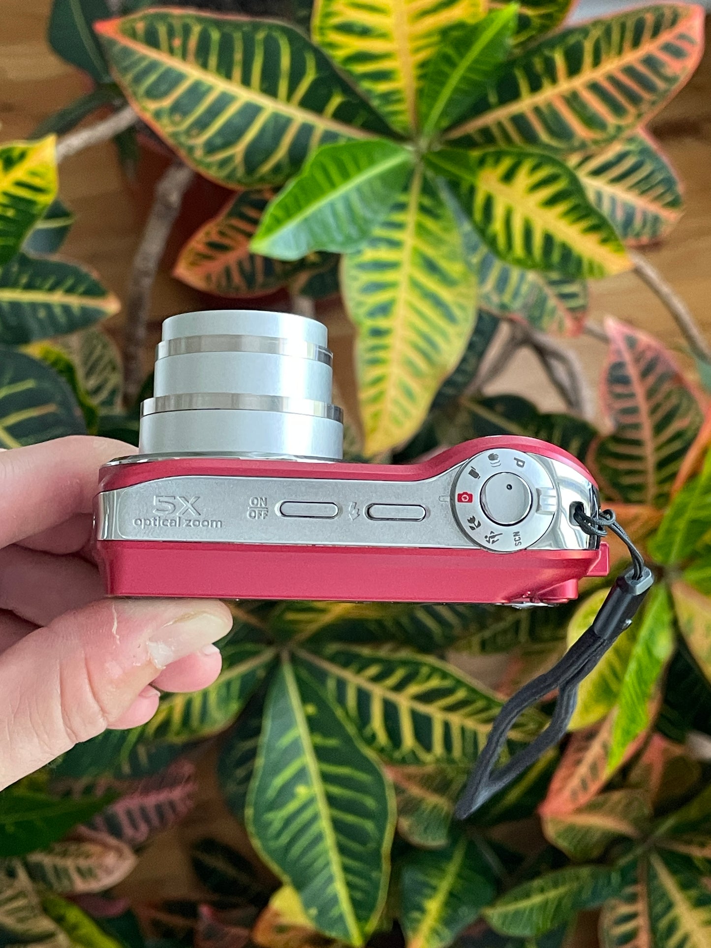 Kodak EasyShare C190 12 MP Digital Camera Bundle - In Box
