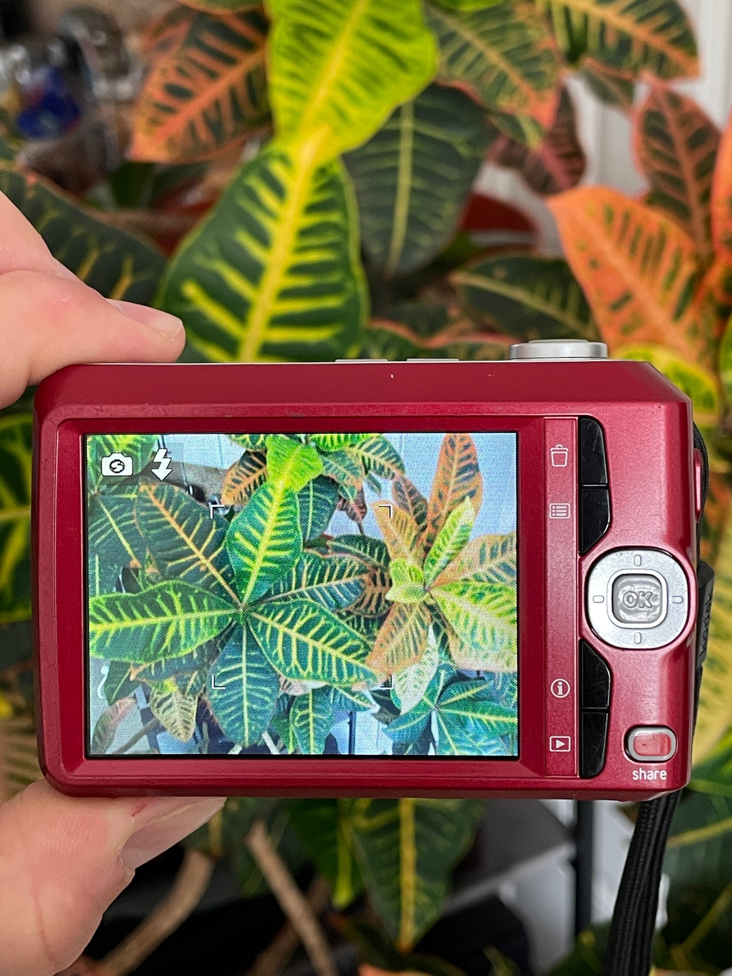 Kodak EasyShare C1450 14 MP Digital Camera Bundle - Red