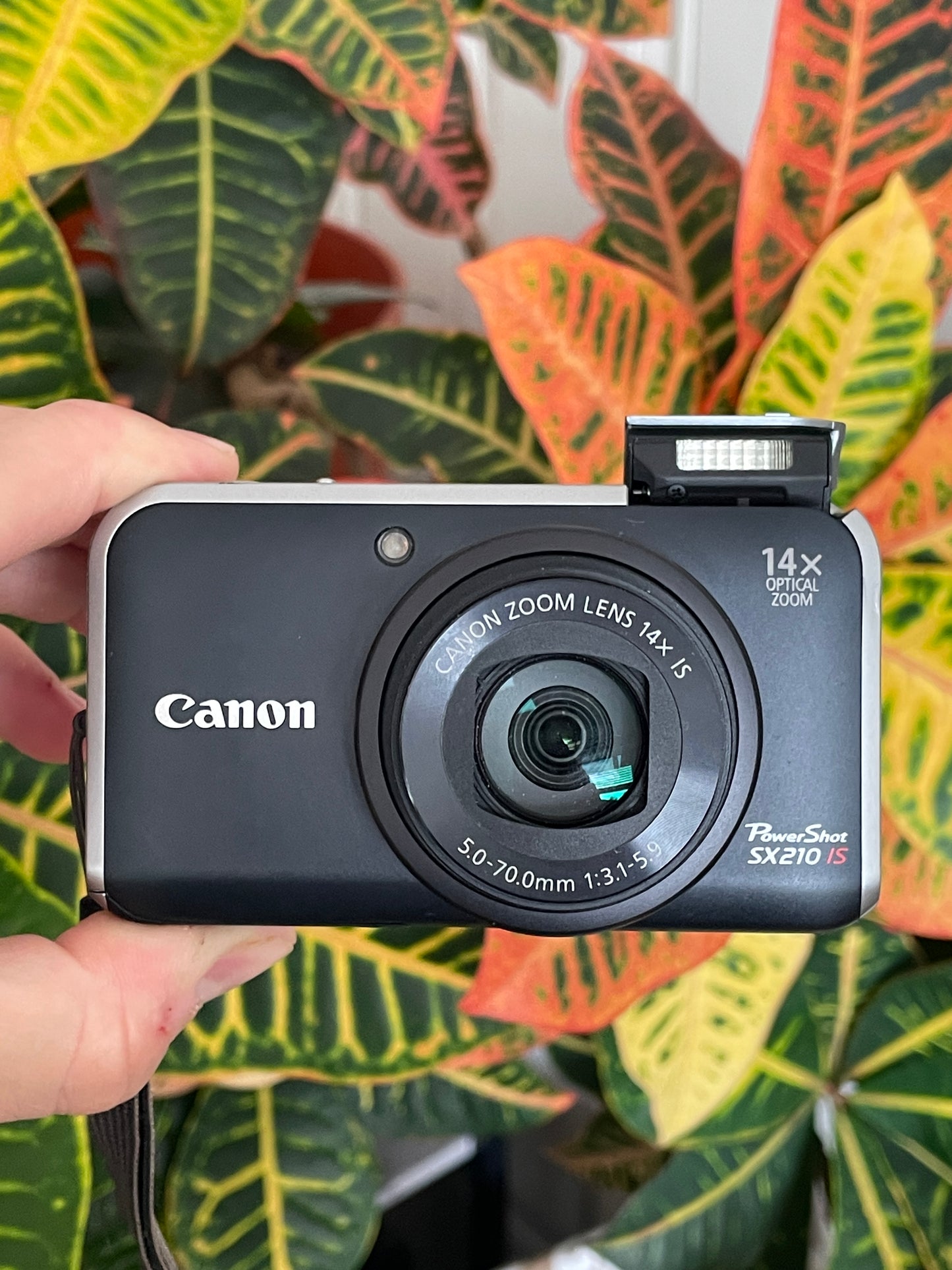 Canon PowerShot SX210 IS 14.1 MP Digital Camera Bundle - Complete in Box
