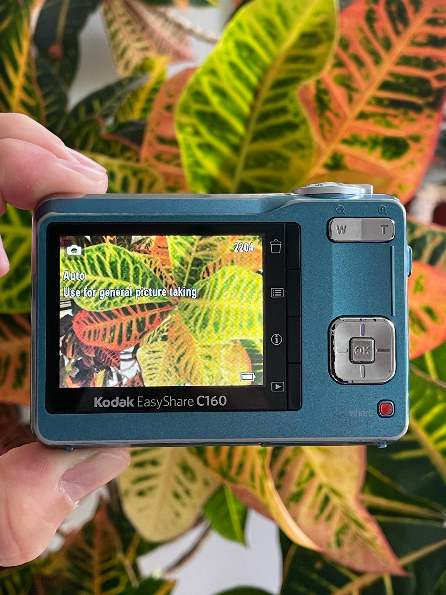 Kodak EasyShare C160 9.2 MP Digital Camera Bundle
