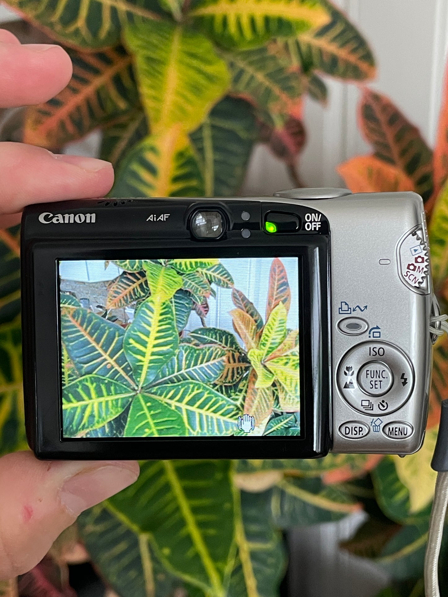 Canon PowerShot SD700 IS Digital ELPH 6.0 MP Digital Camera Bundle