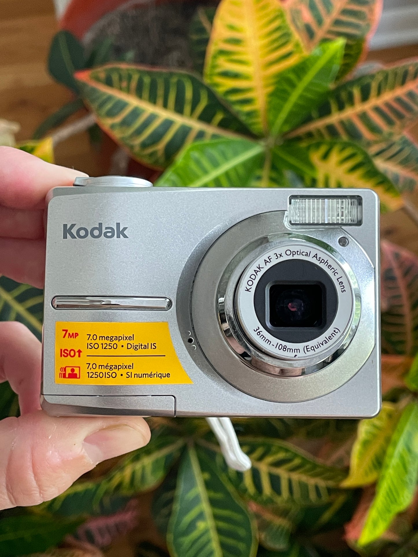 Kodak EasyShare C713 7.1 MP Digital Camera Bundle - Gray