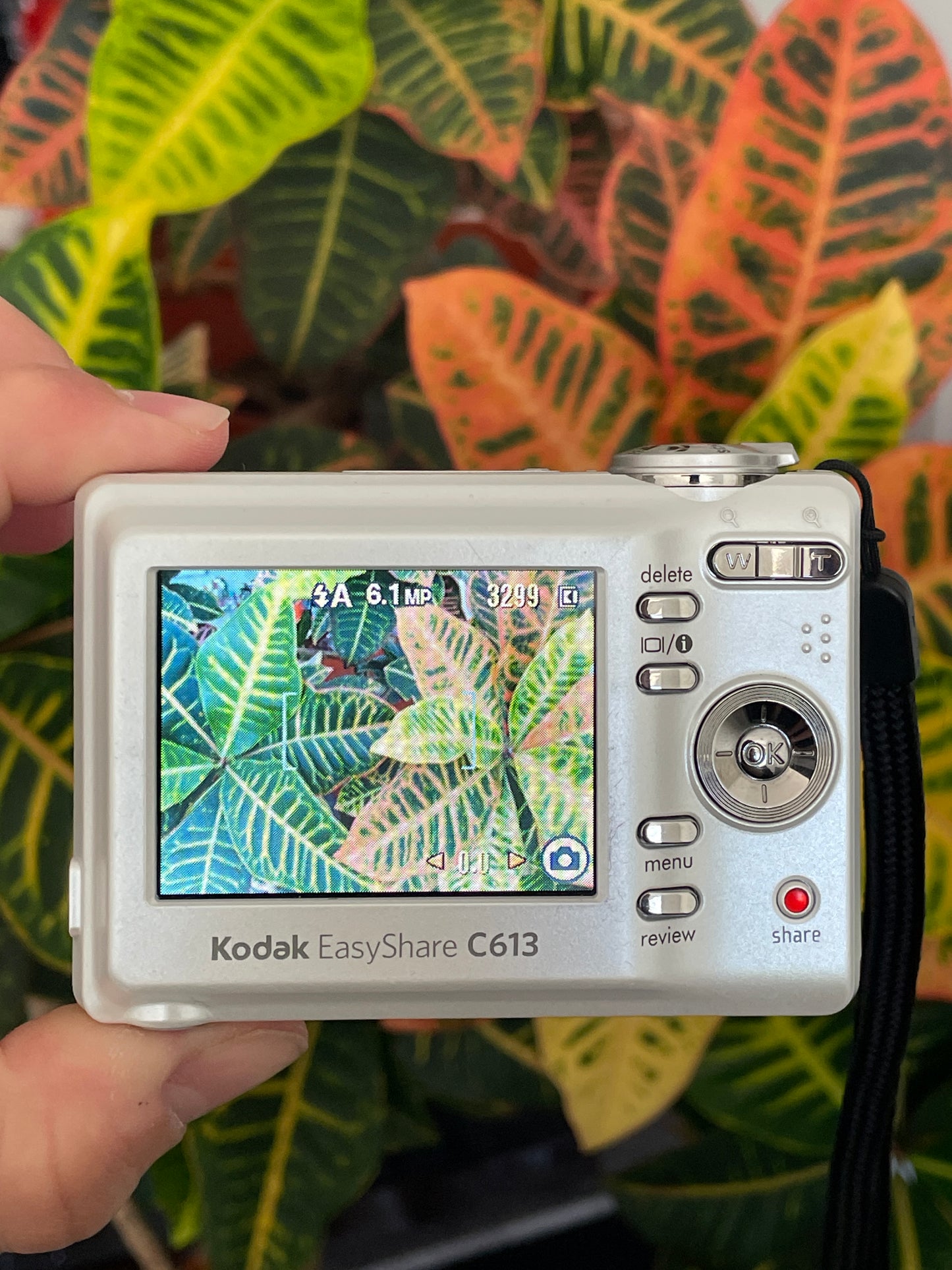 Kodak EasyShare C613 6.2 MP Digital Camera Bundle - Pearl White