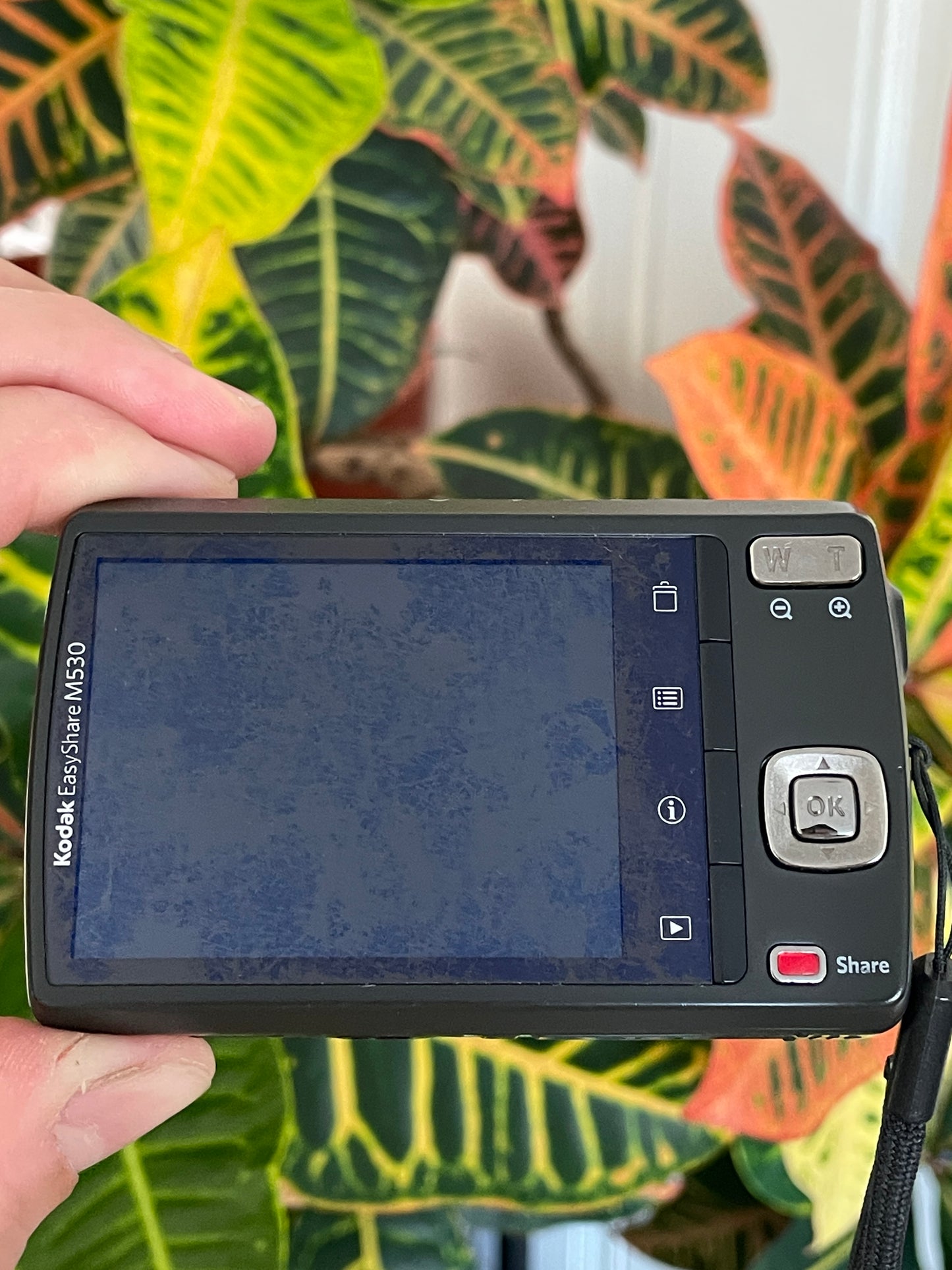 Kodak EasyShare M530 12 MP Digital Camera Bundle - Green