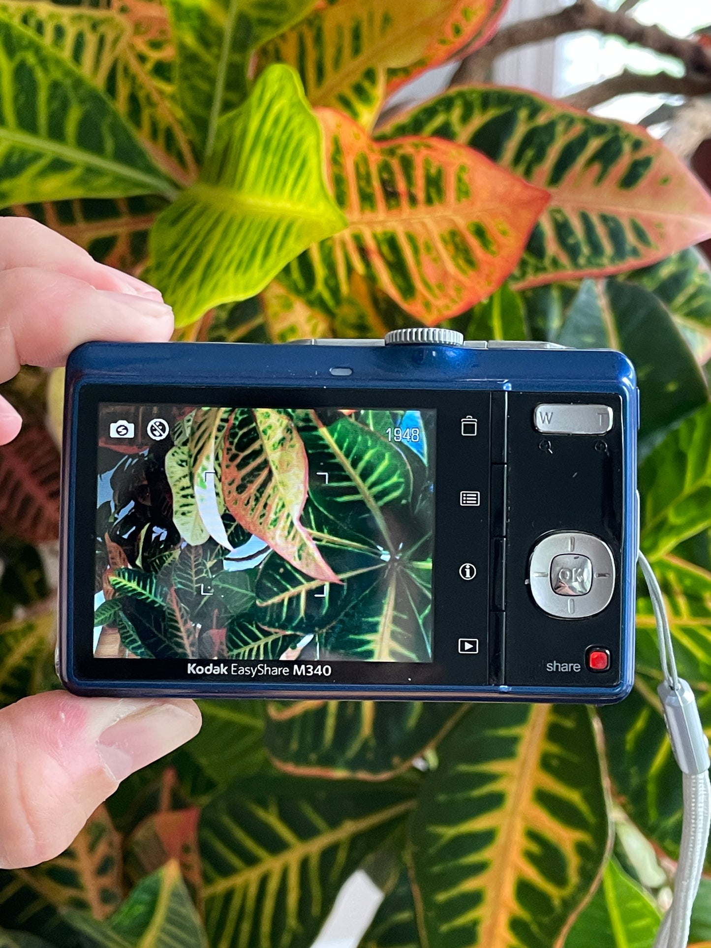 Kodak EasyShare M340 10.2 MP Digital Camera Bundle - Blue