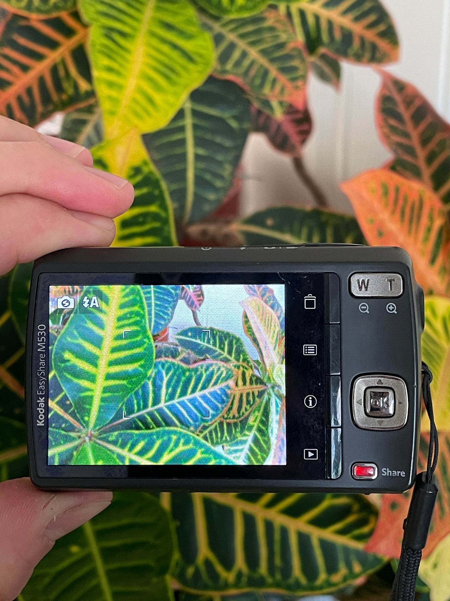 Kodak EasyShare M530 12 MP Digital Camera Bundle - Green