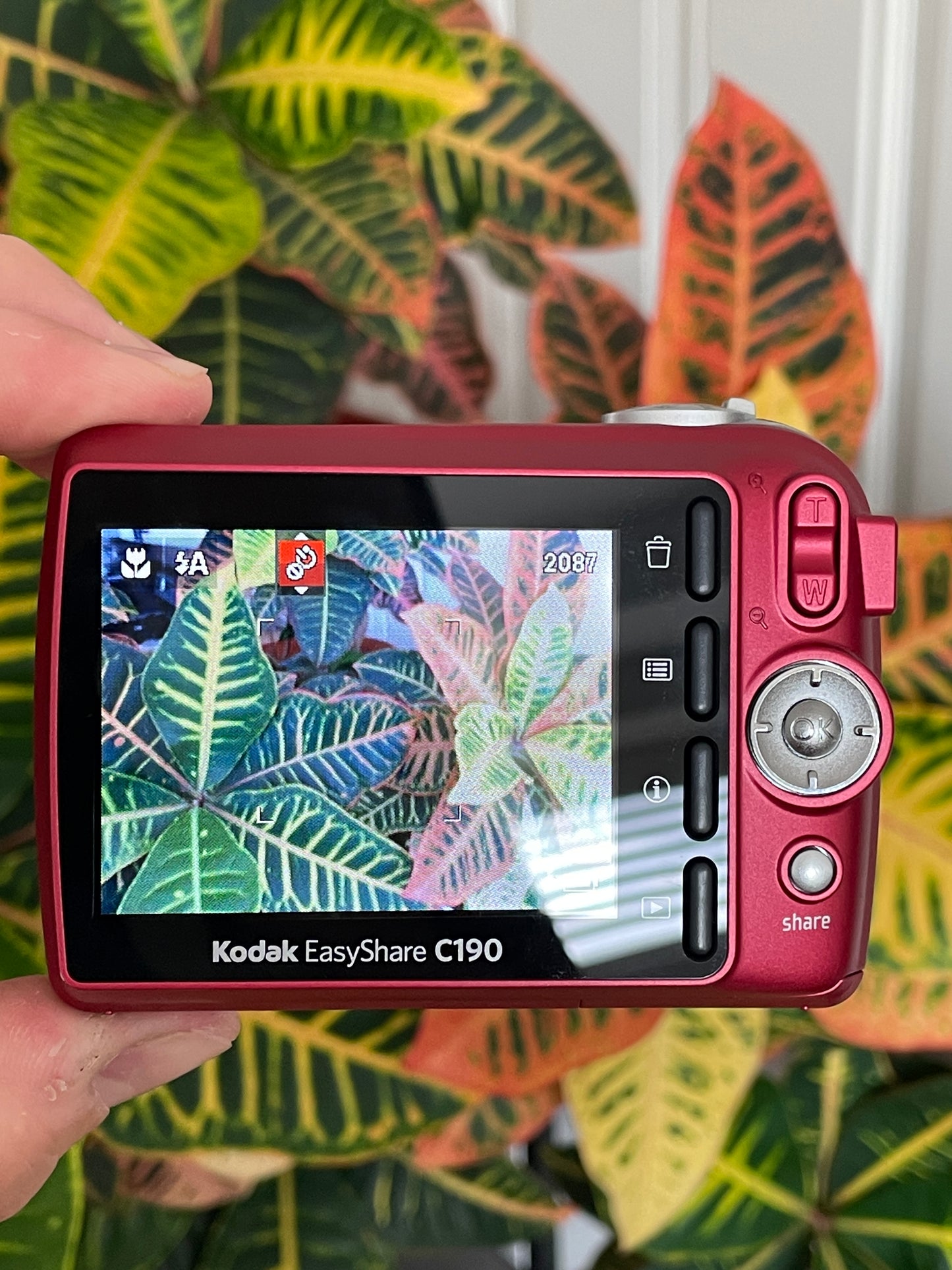 Kodak EasyShare C190 12 MP Digital Camera Bundle - Red