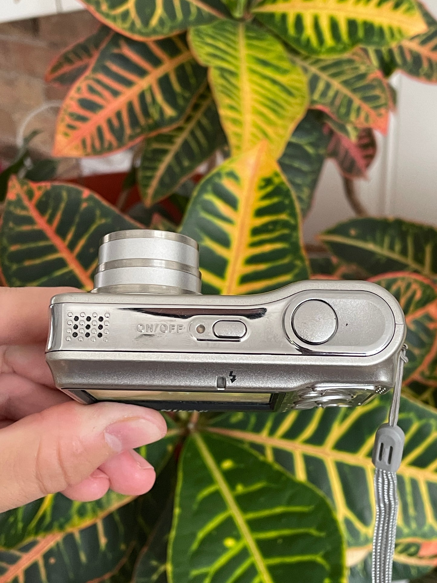 Nikon CoolPix L6 6.0 MP Digital Camera Bundle