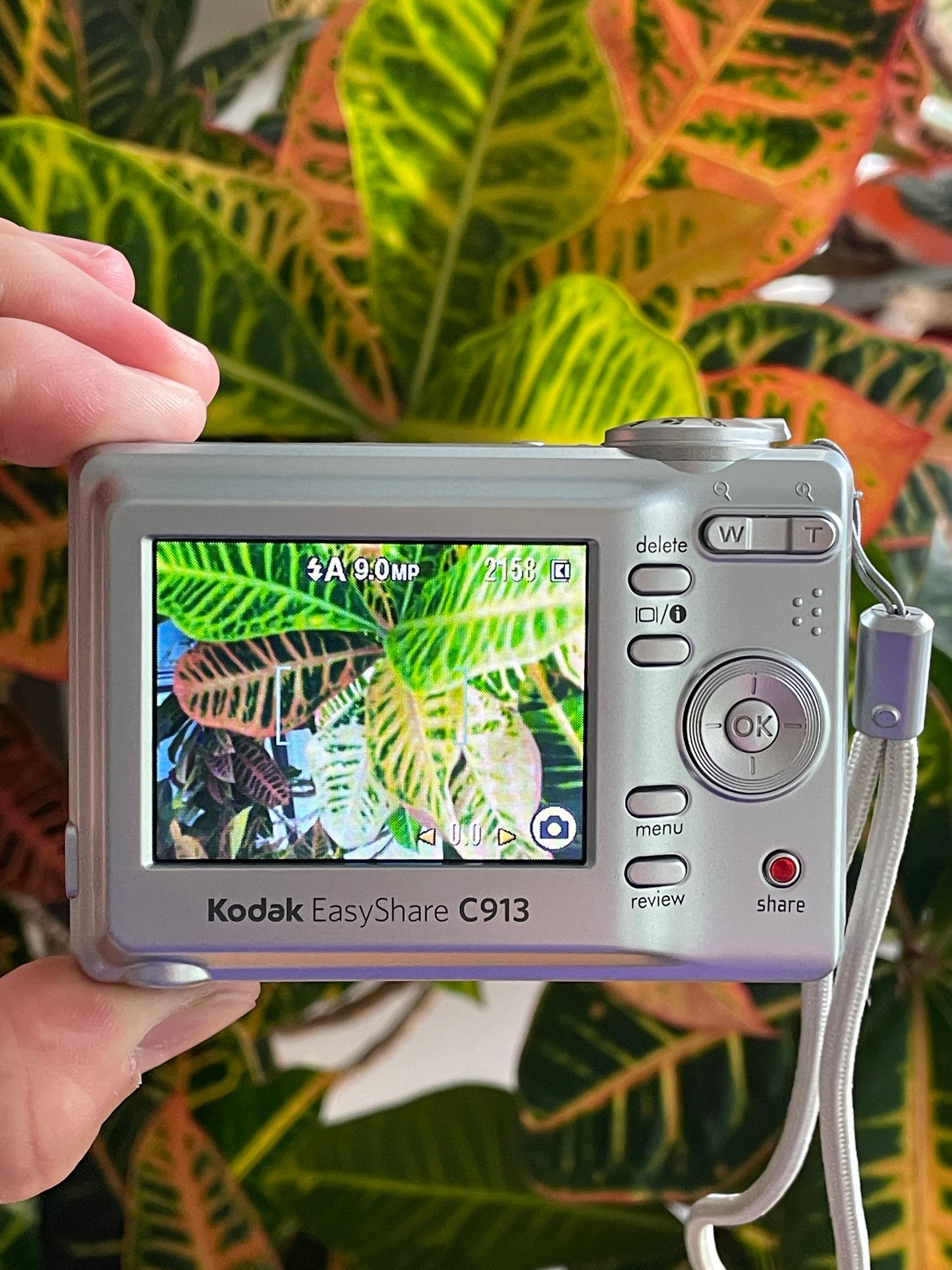 Kodak EasyShare C913 9.2 MP Digital Camera Bundle