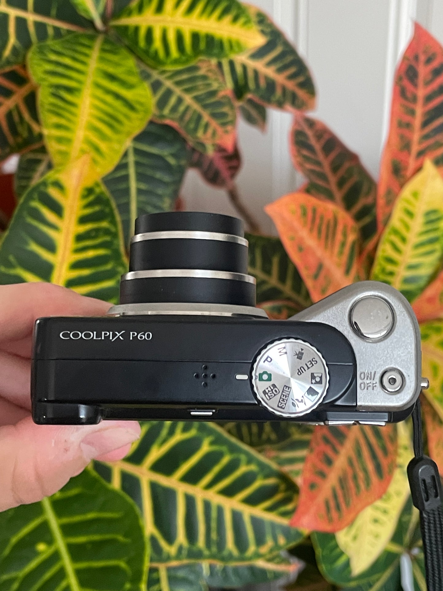 Nikon CoolPix P60 8.1 MP Digital Camera - Black