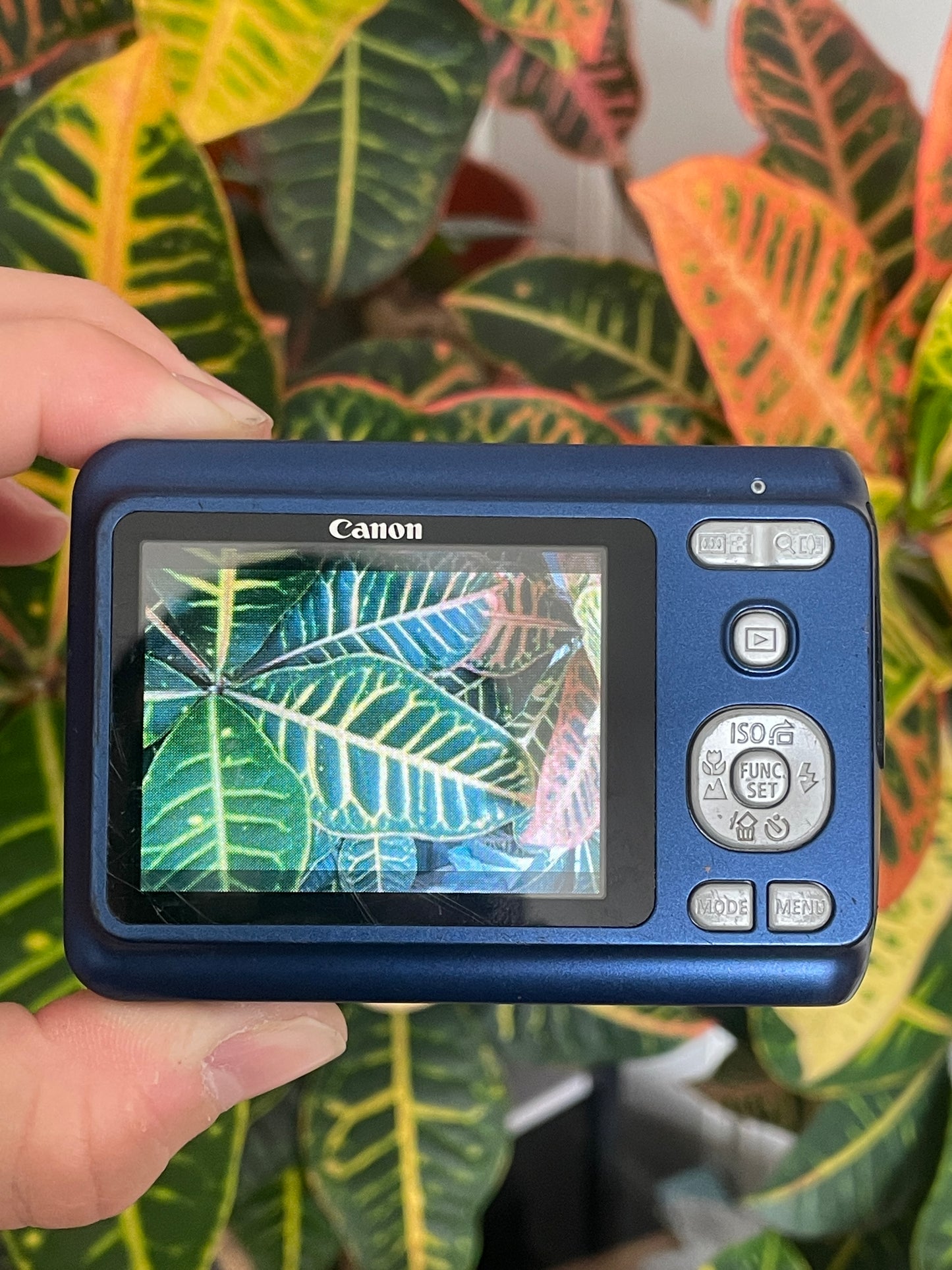 Canon PowerShot A480 10 MP Digital Camera Bundle - Blue