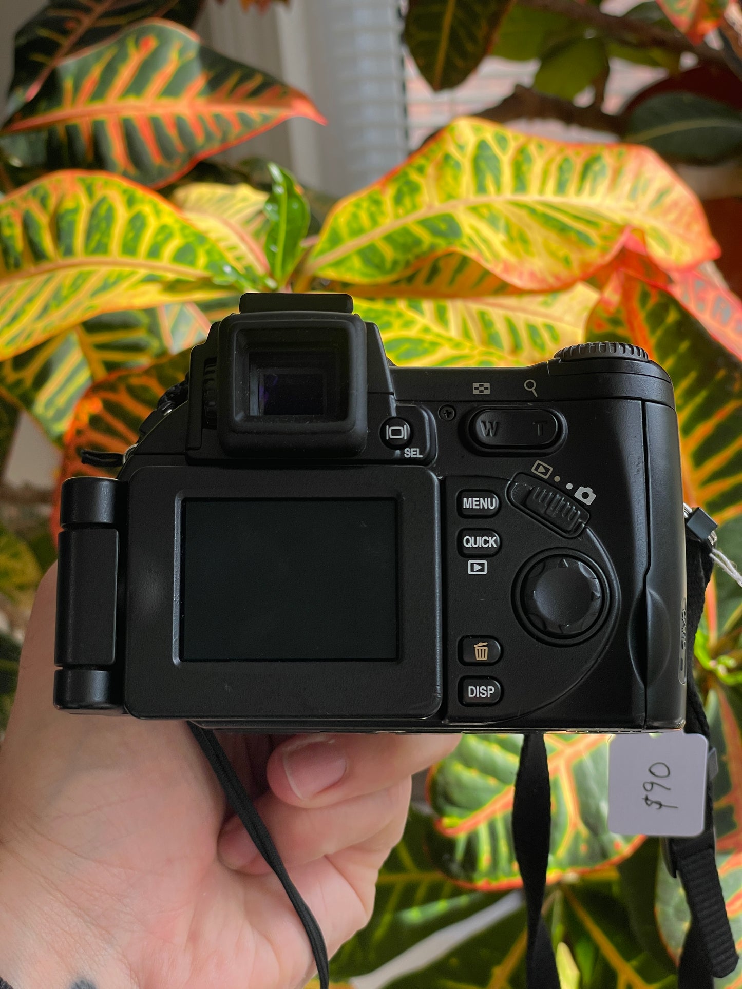 Nikon CoolPix E8700 8.0 MP Digital Camera Bundle - Black