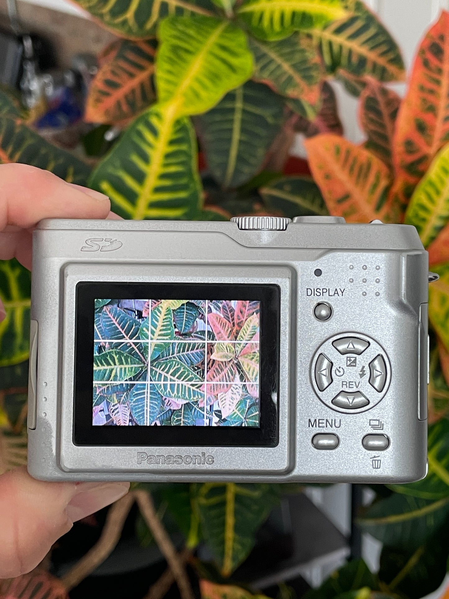 Panasonic Lumix DMC-LZ2 5.0 MP Digital Camera Bundle