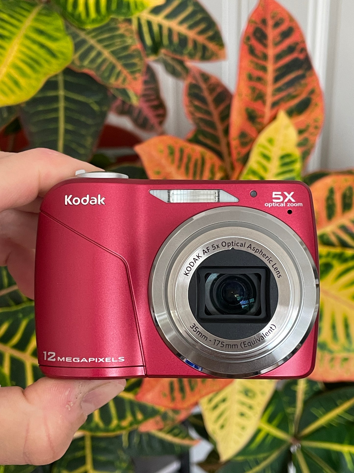 Kodak EasyShare C190 12 MP Digital Camera Bundle - Red