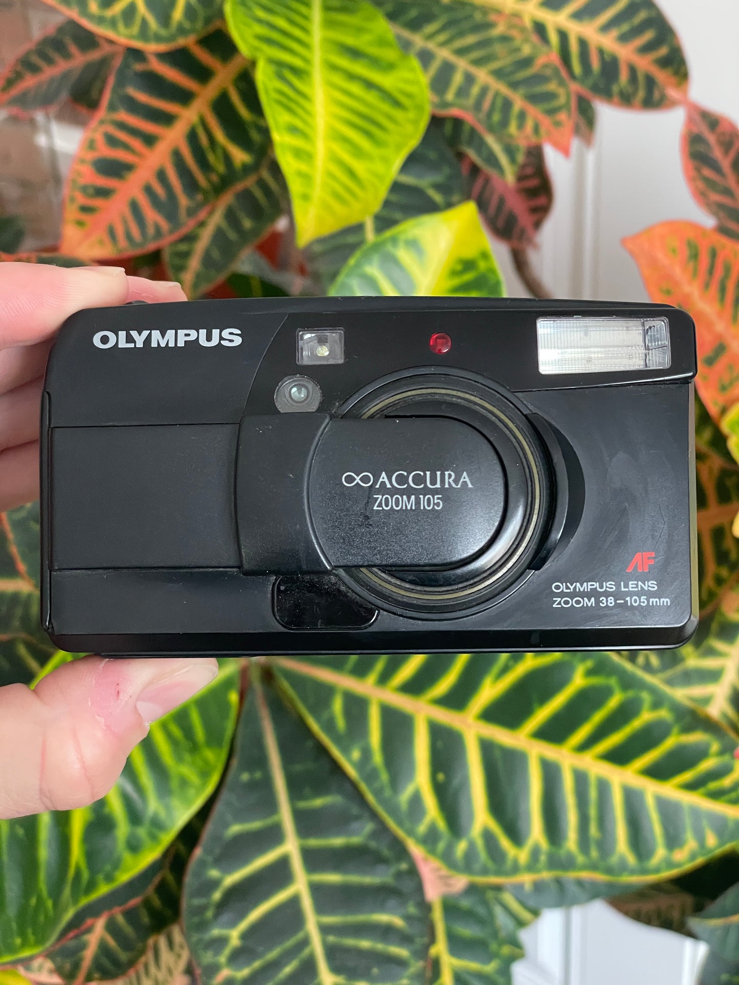 Olympus Accura Zoom 105 35mm Film Camera Bundle