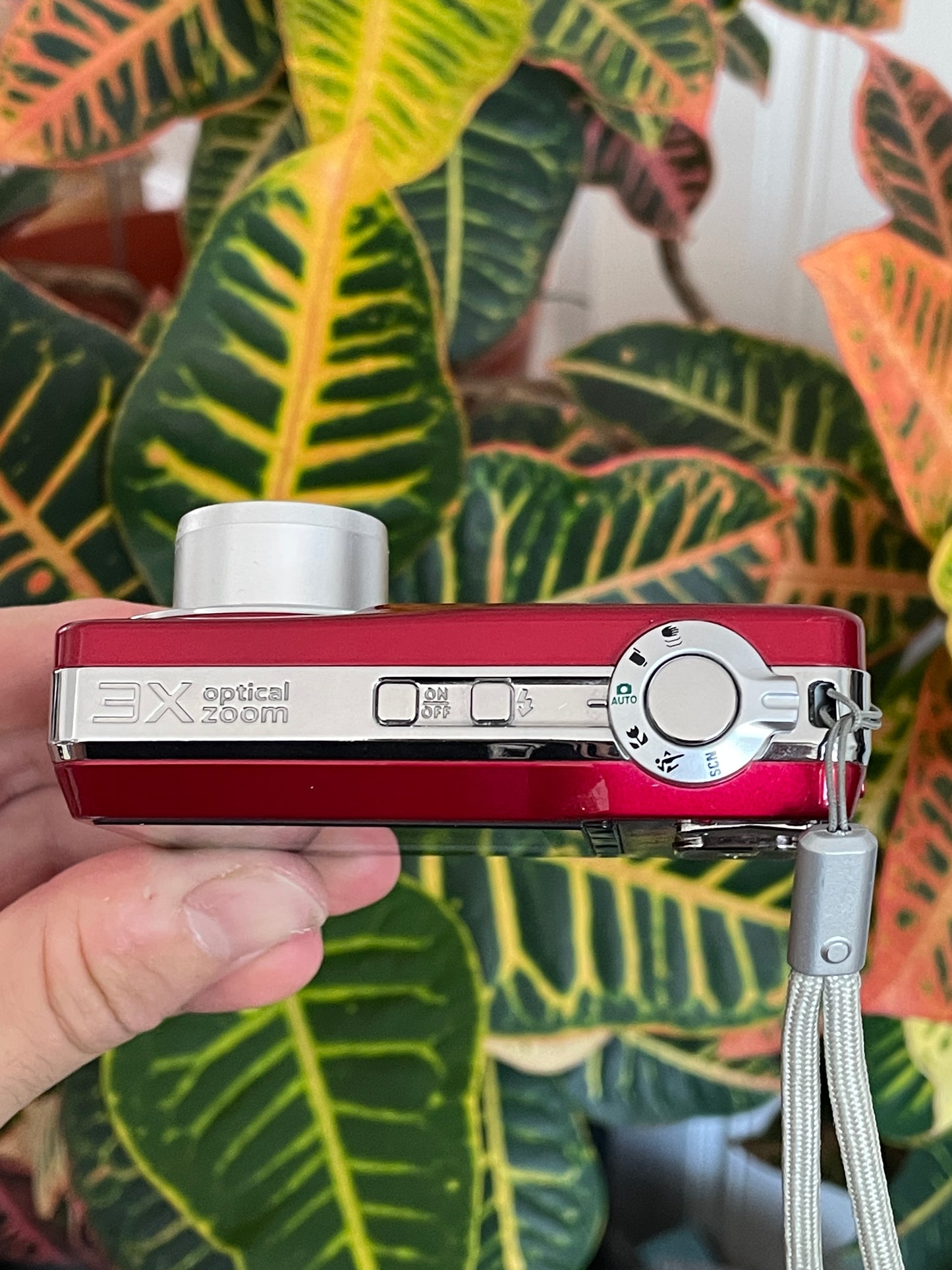 Kodak EasyShare C180 10.2 MP Digital Camera Bundle - Red