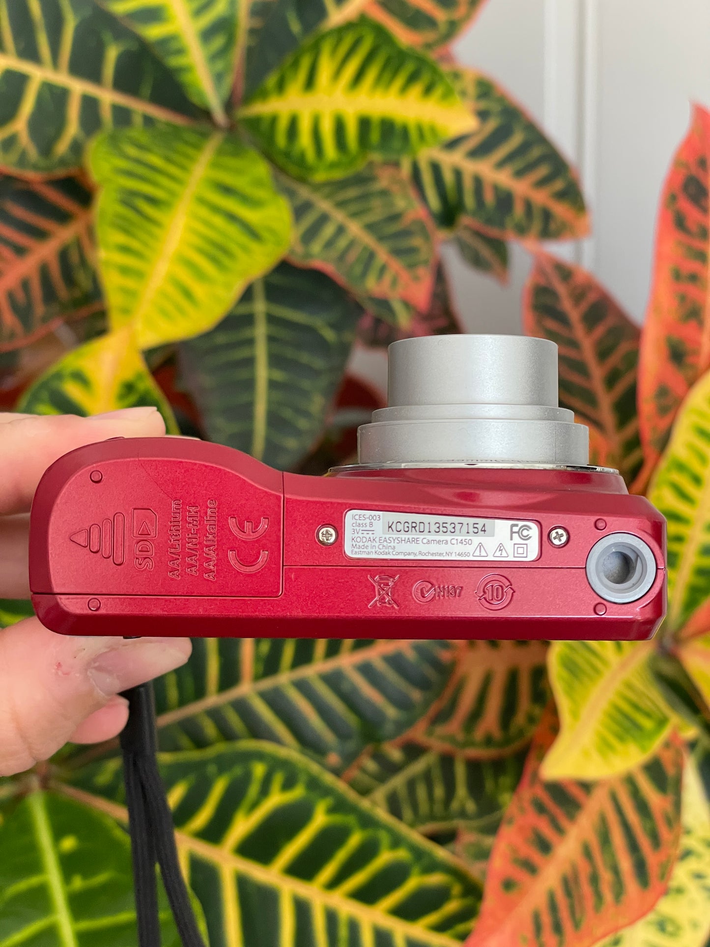 Kodak EasyShare C1450 14 MP Digital Camera Bundle - Red
