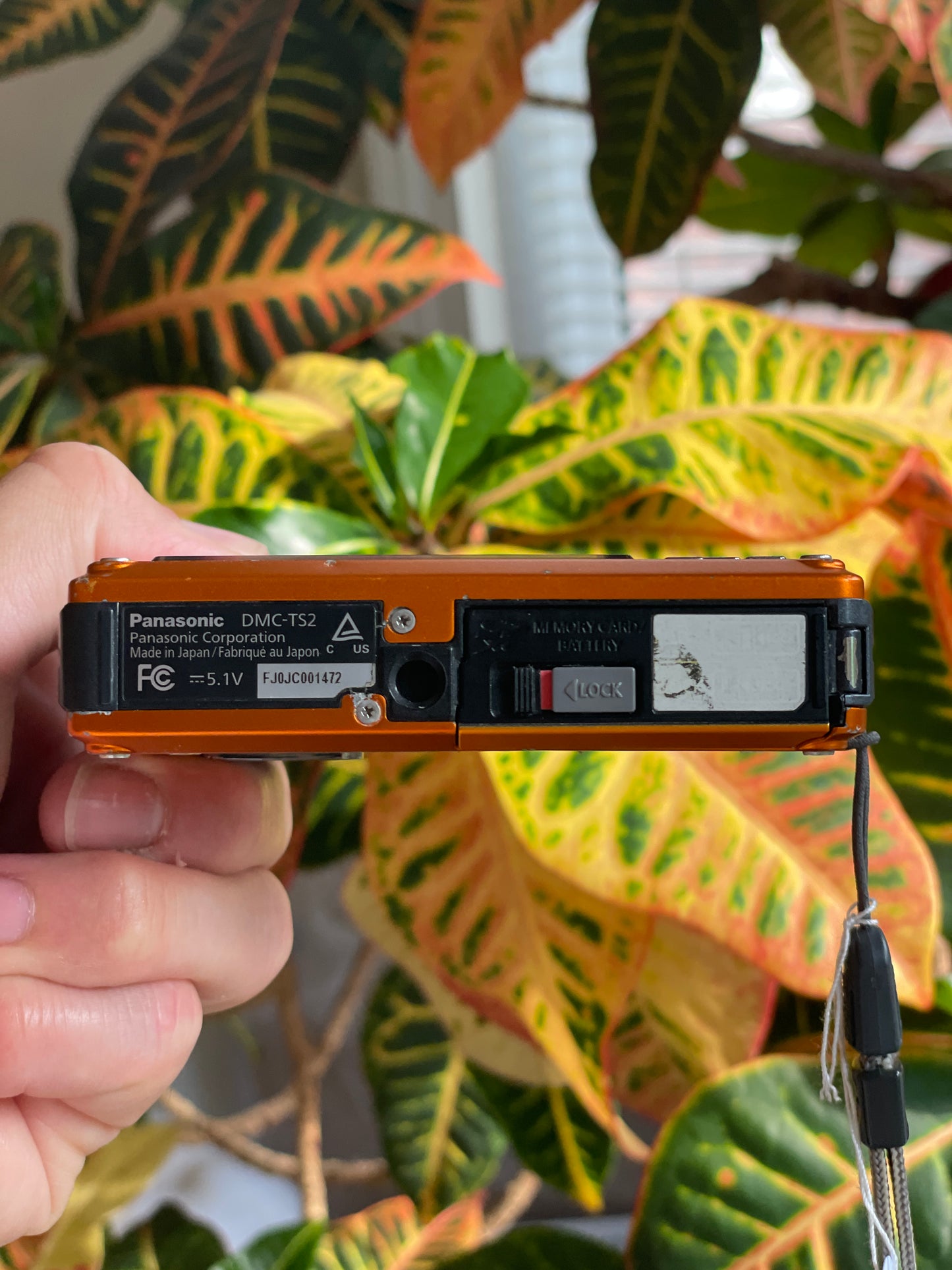 Panasonic Lumix DMC-TS2 14 MP Digital Camera Bundle - Orange