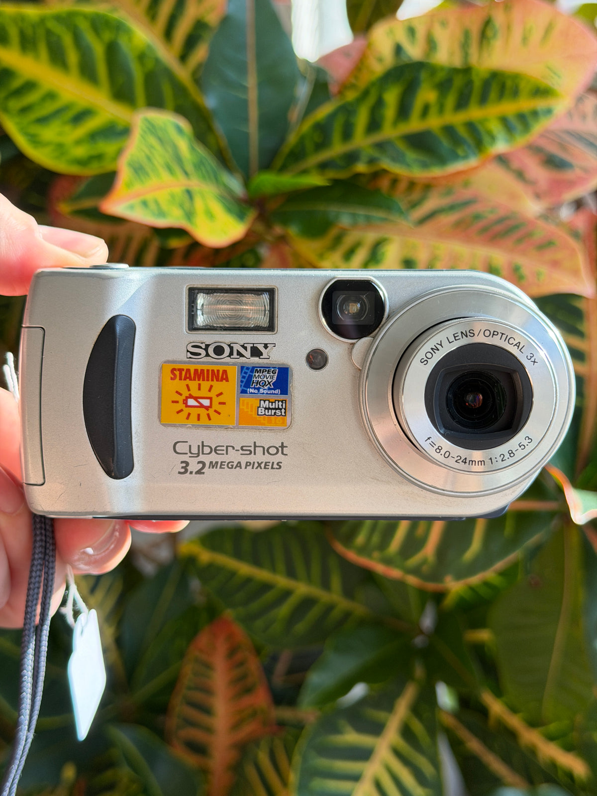 Sony Cyber-shot DSC-P71 digital camera held in hand