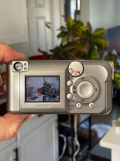 Canon PowerShot A410 3.2 MP Digital Camera Bundle - Silver