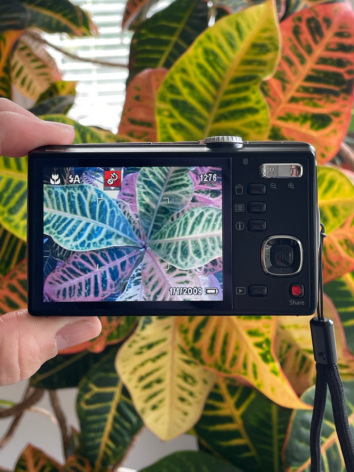 Kodak EasyShare M380 10.2 MP Digital Camera Bundle - Black