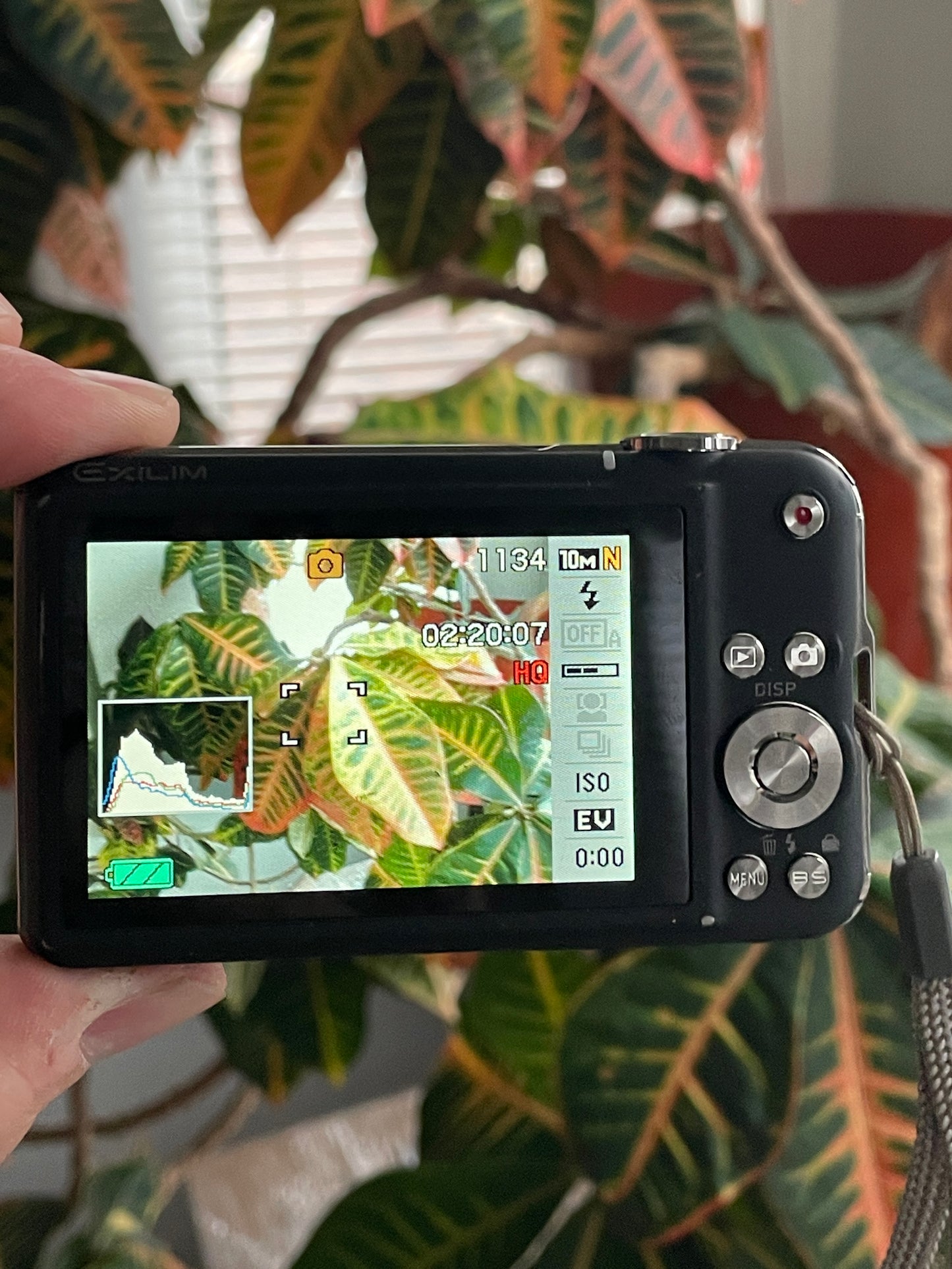 Casio Exilim EX-S10 10.1 MP Digital Camera Bundle - Black