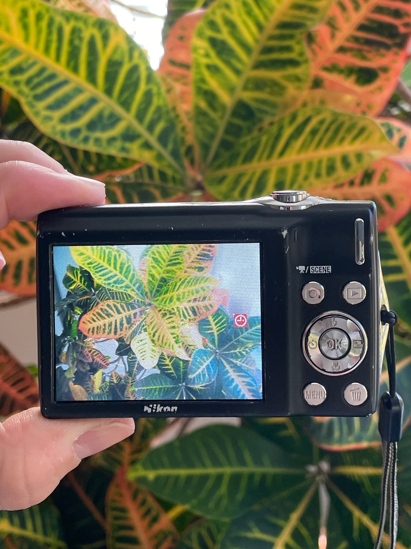 Nikon CoolPix S3000 12 MP Digital Camera Bundle - In Box