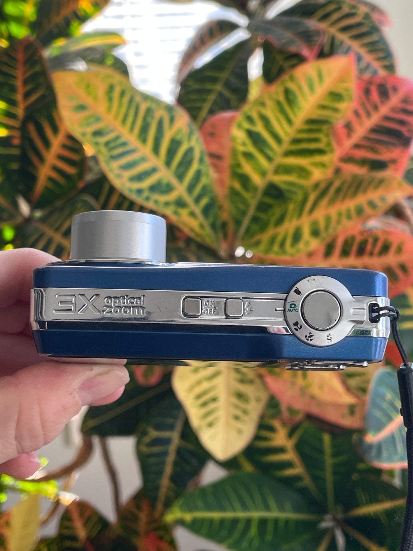 Kodak EasyShare CD80 10.2 MP Digital Camera Bundle - Blue